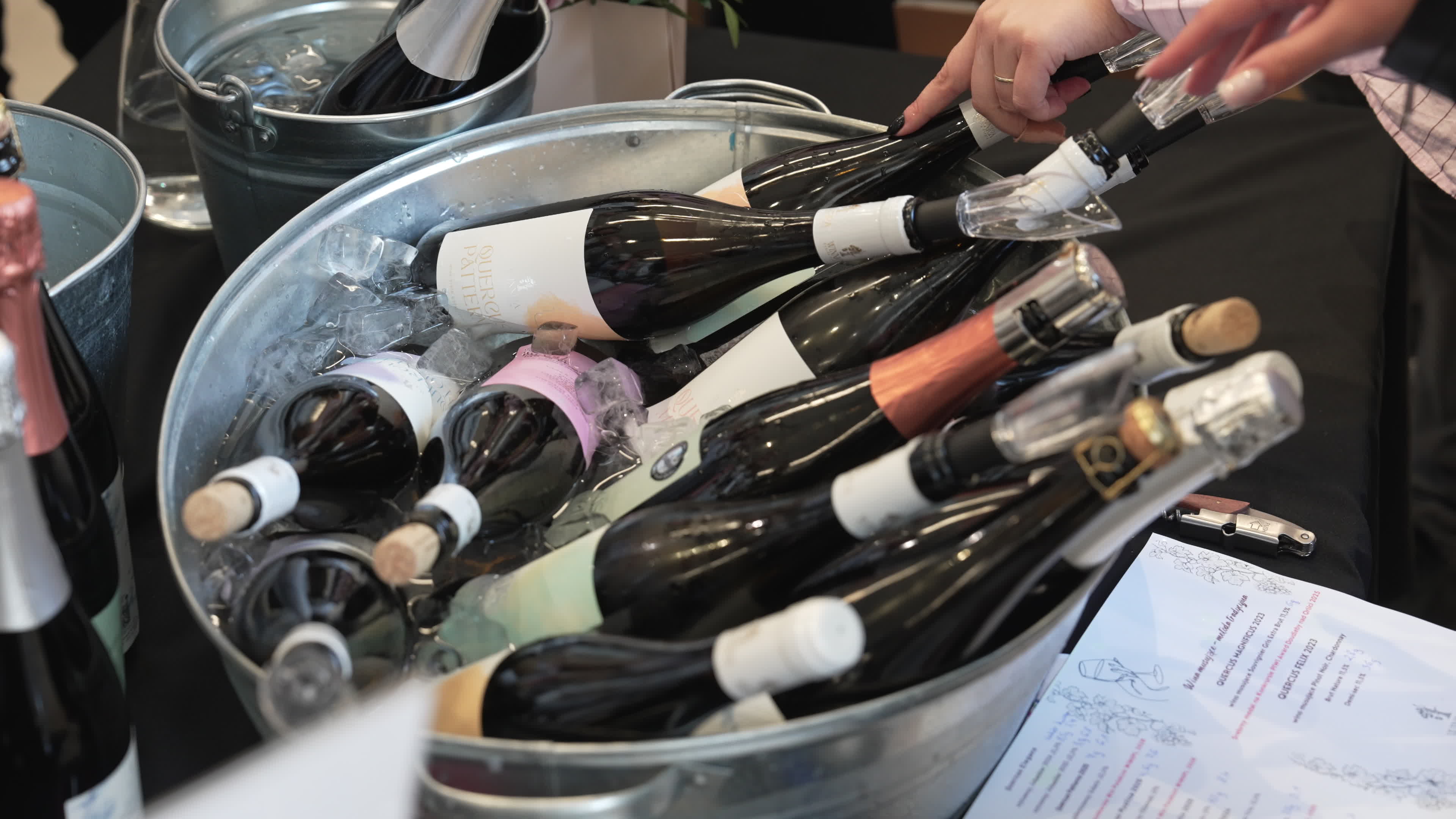 Festival of Polish wines in Warsaw