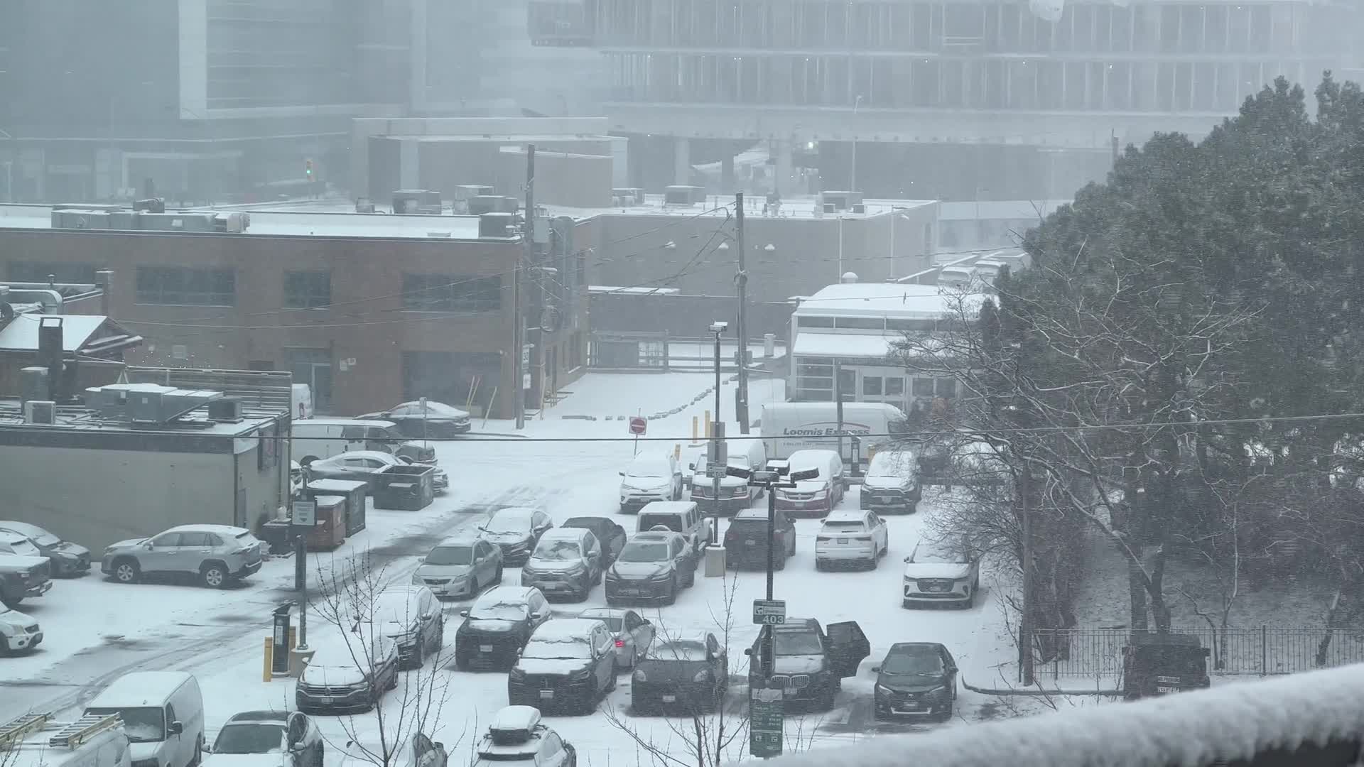 Snowfall in Toronto - 03/13/2026