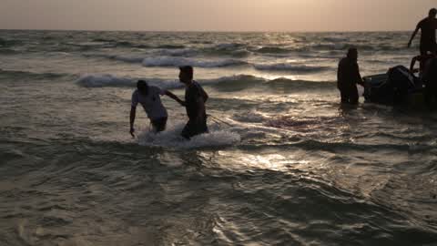 Fish Of Stingrays In Gaza City