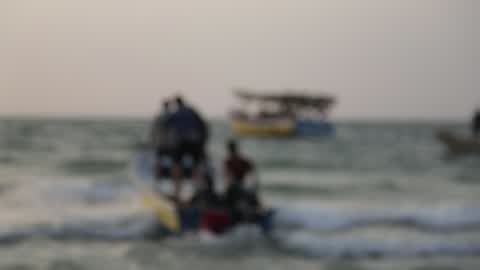 Fish Of Stingrays In Gaza City