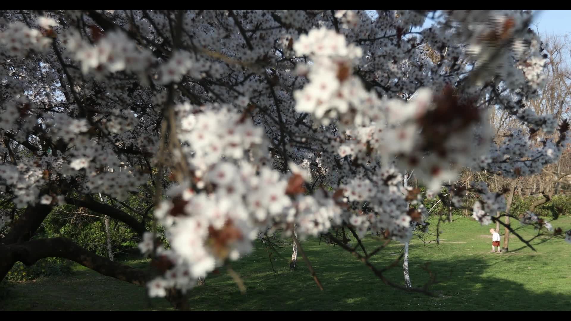 Futoshka Park in spring - 03/12/2026