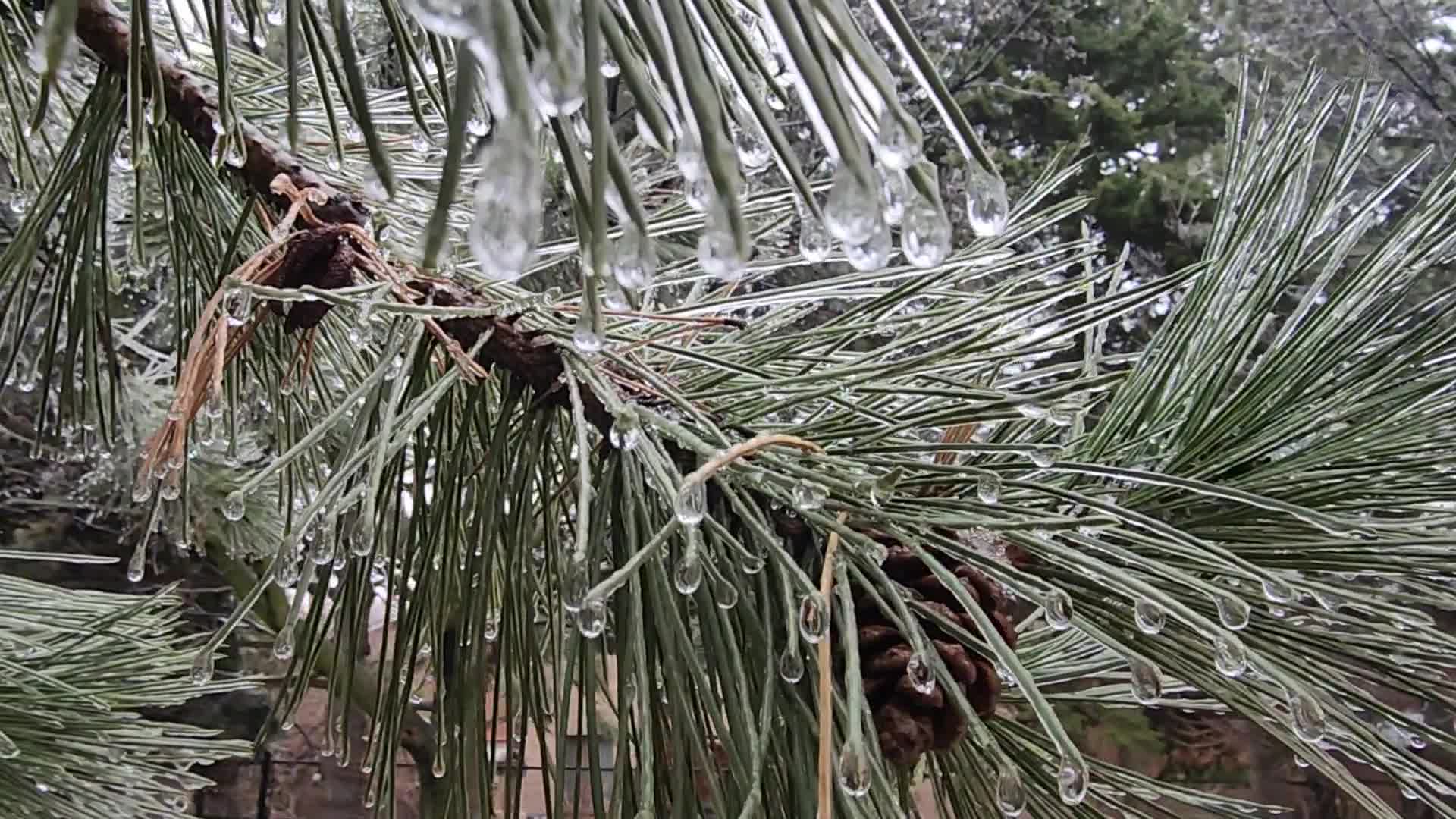 Freezing rain and ice pellets in Toronto