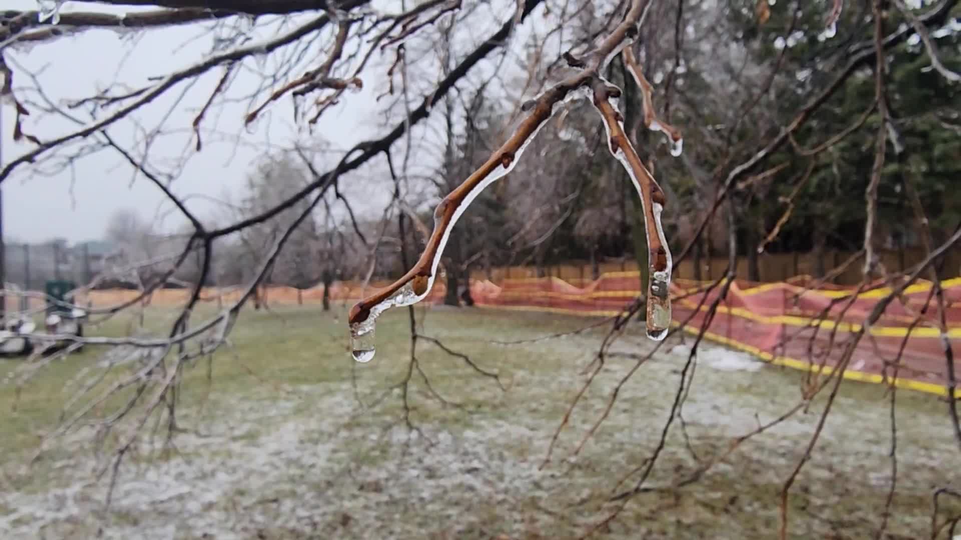 Freezing rain and ice pellets in Toronto