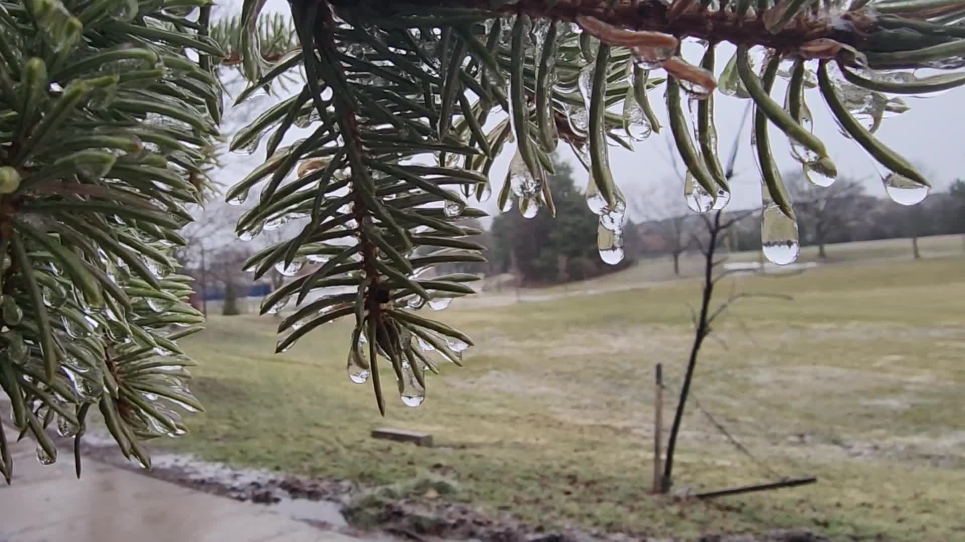 Freezing rain and ice pellets in Toronto