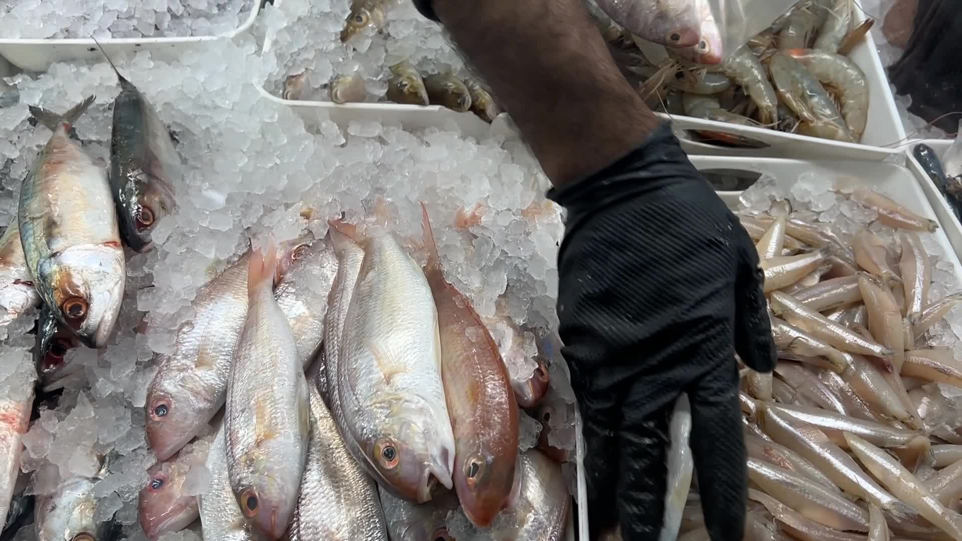 Iran war could spike grocery prices in Canada