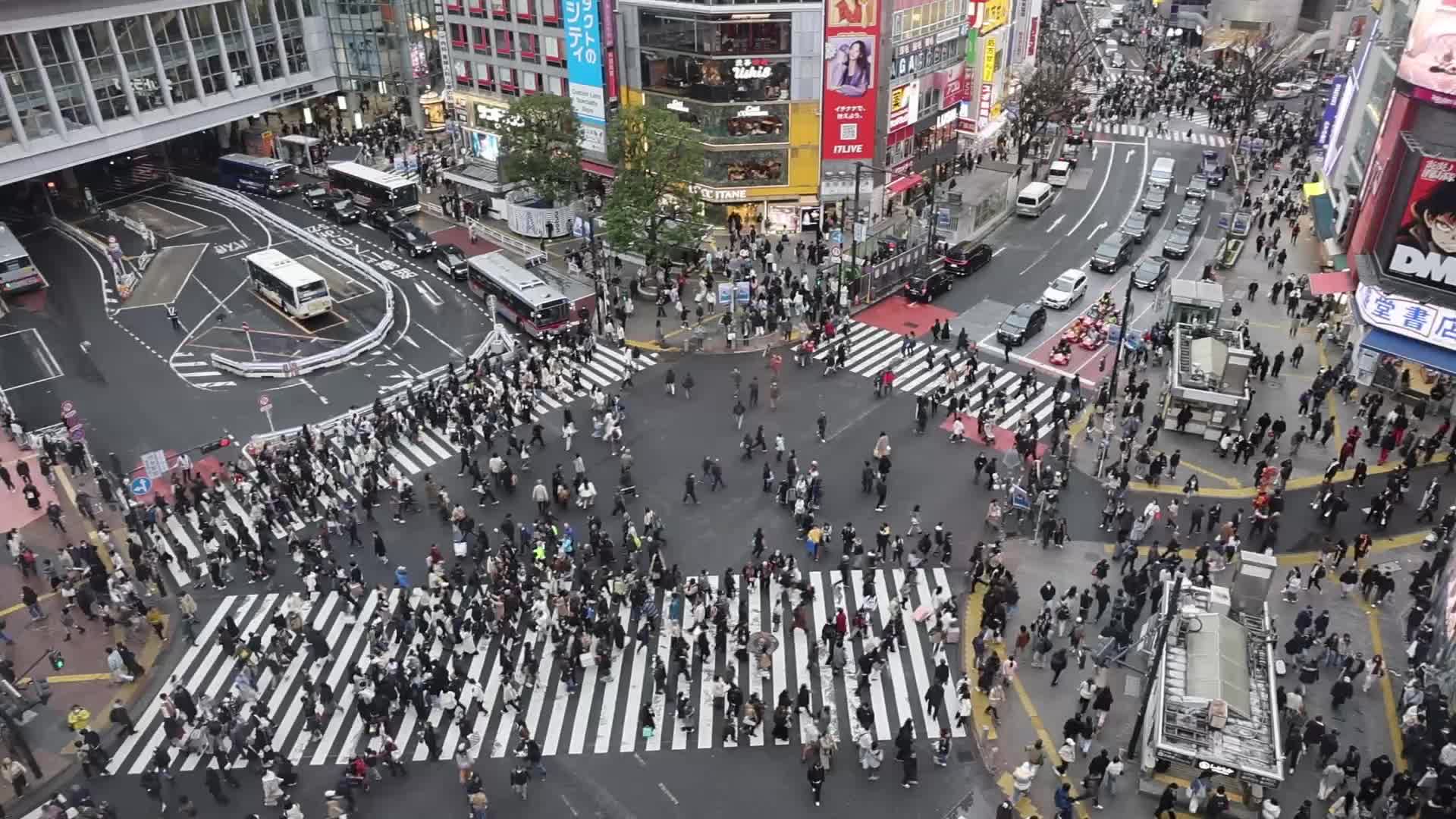 Shibuya Crossing In Tokyo