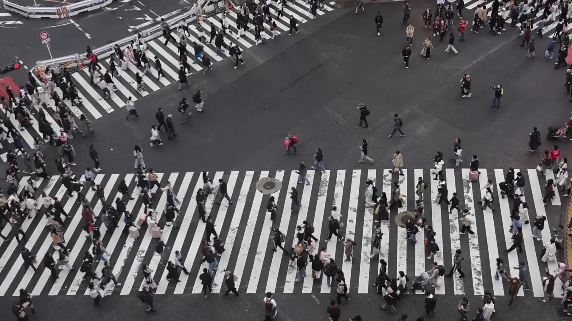 Shibuya Crossing In Tokyo