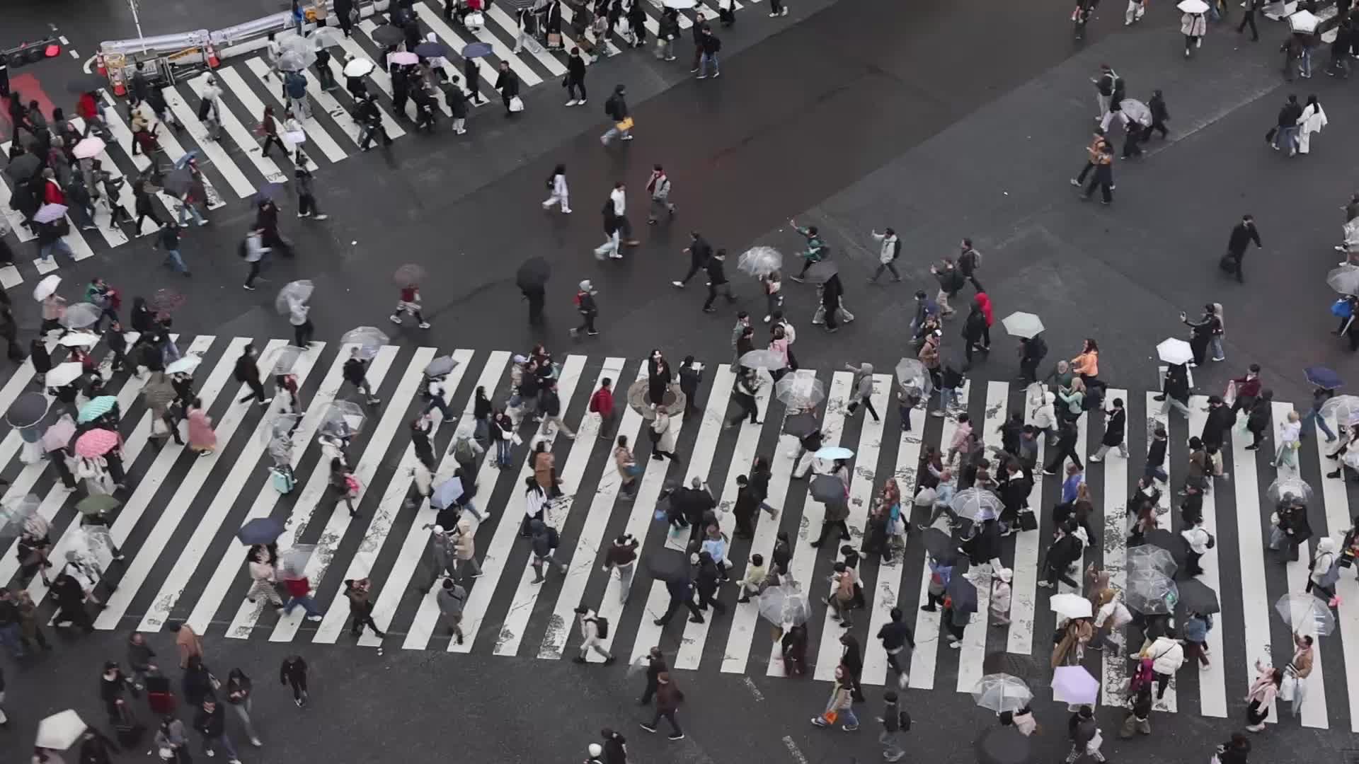 Shibuya Crossing In Tokyo