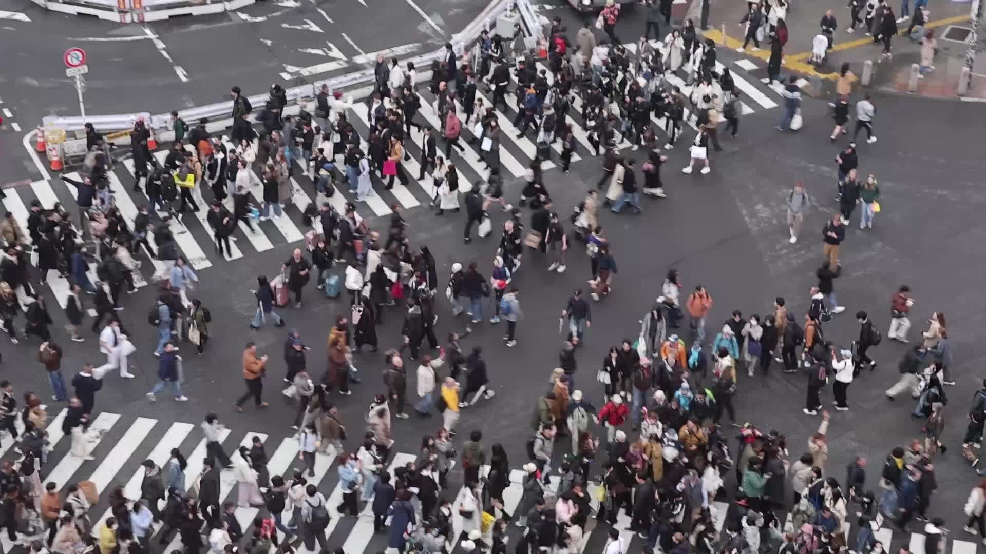 Shibuya Crossing In Tokyo