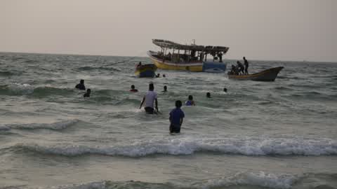 Fish Of Stingrays In Gaza City