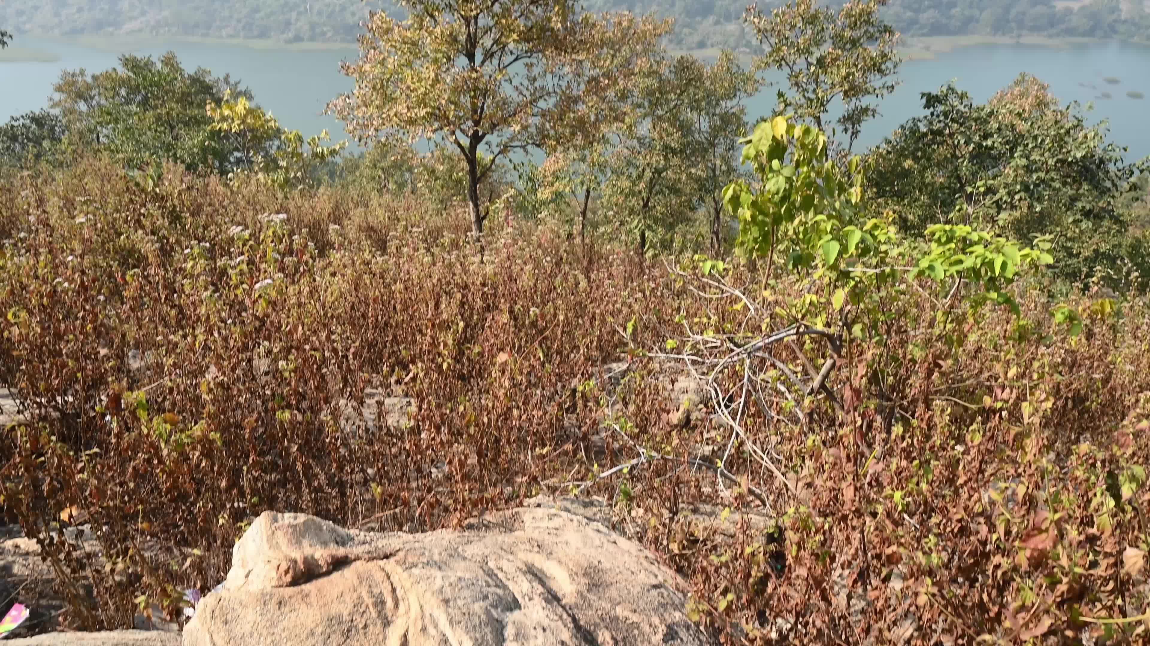 Ukamburu Hill - Natural Landscape - Purulia - Plateau