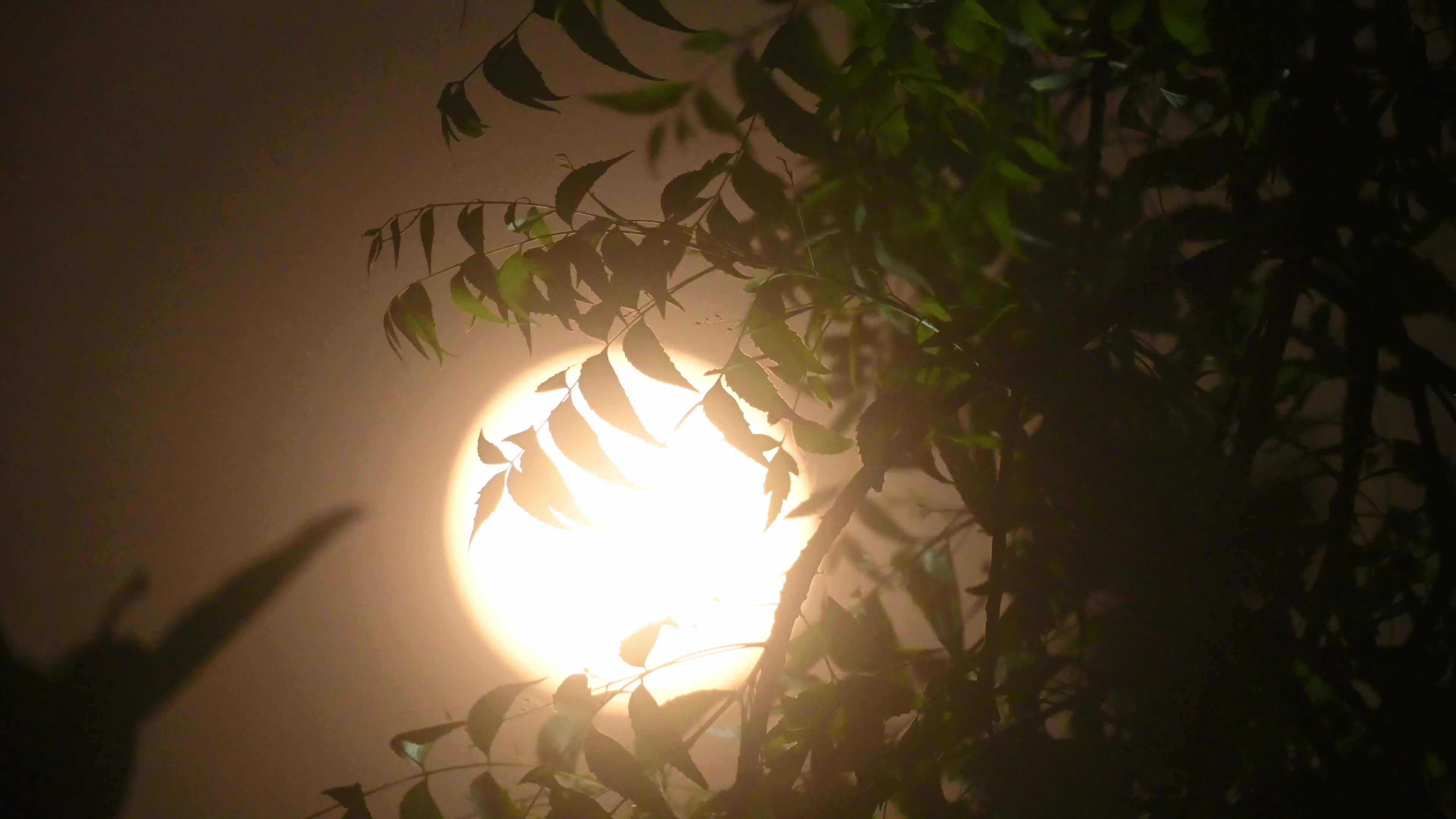April Pink Moon 2026