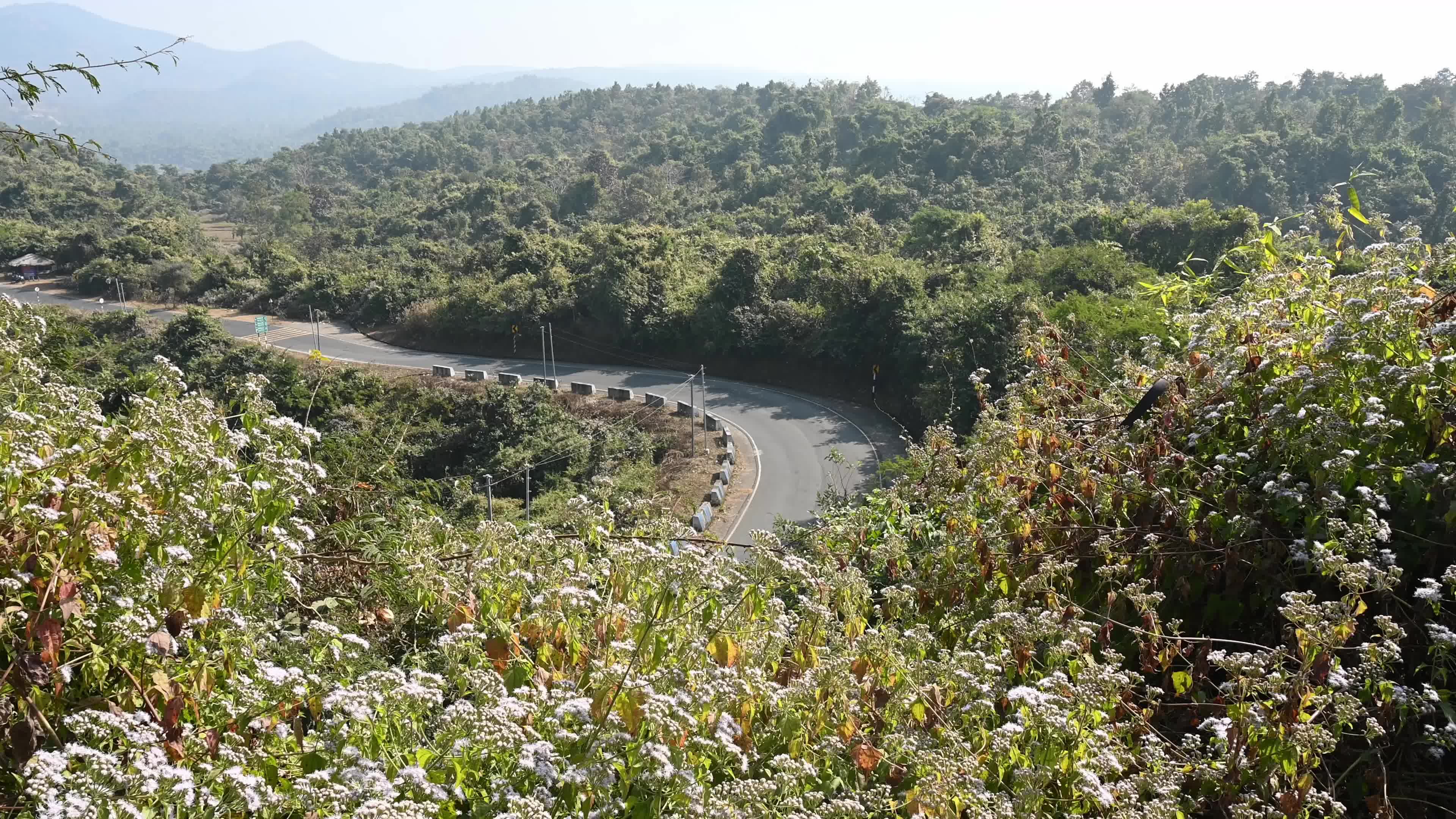 Plateau of India - Ajodhya Hills