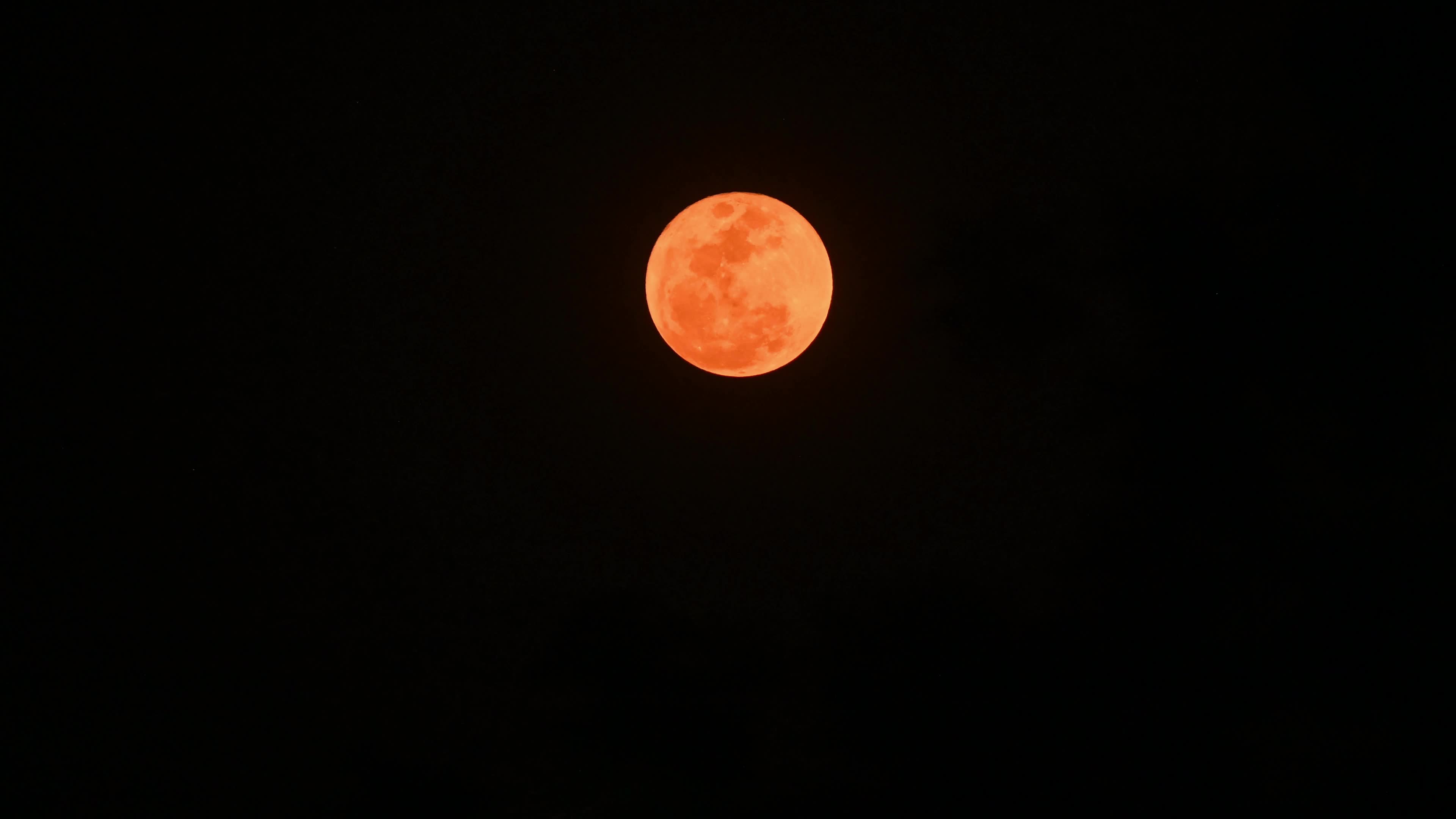 Pink Moon April - 2026