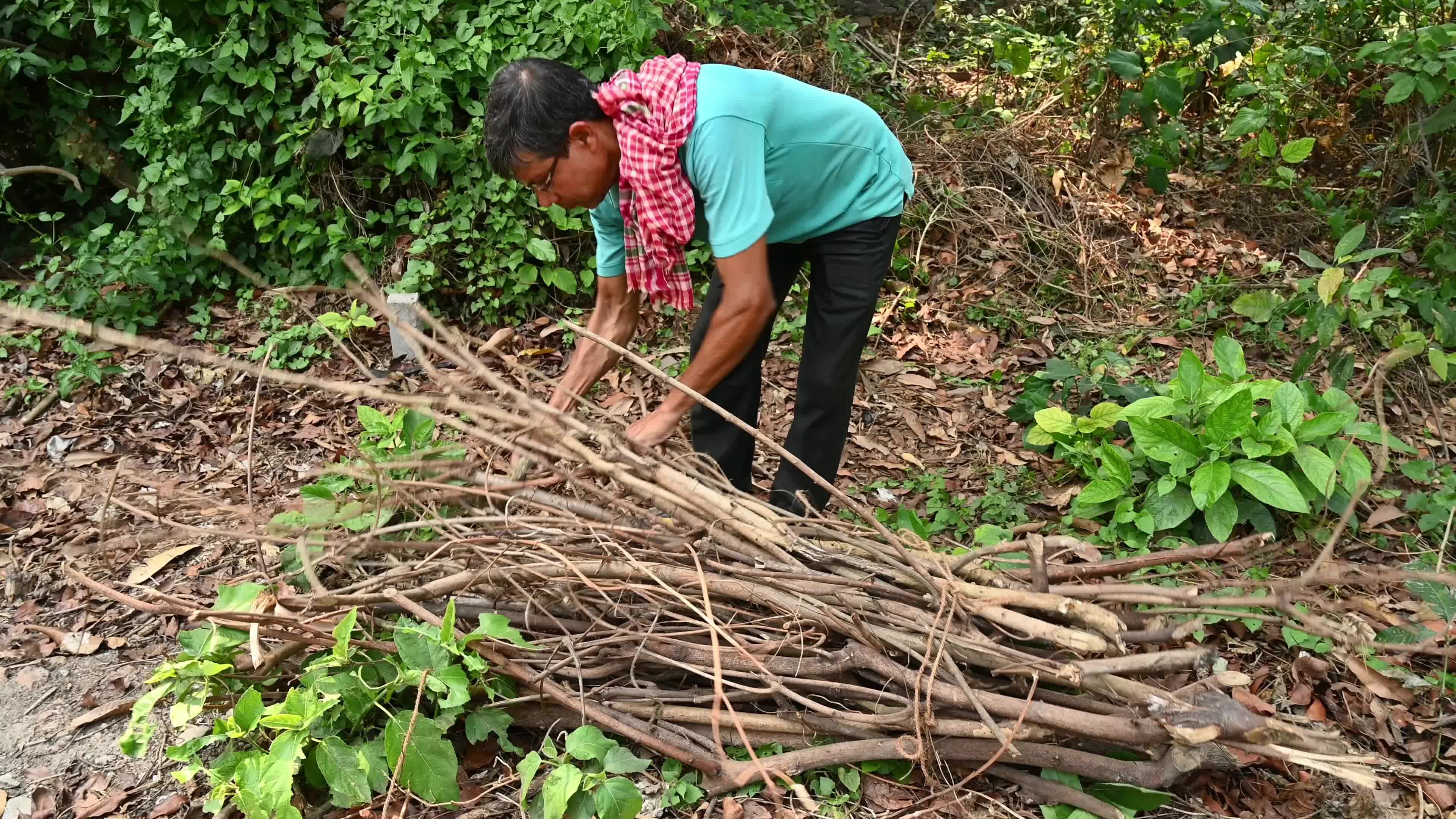 With LPG in short supply, people switch to firewood