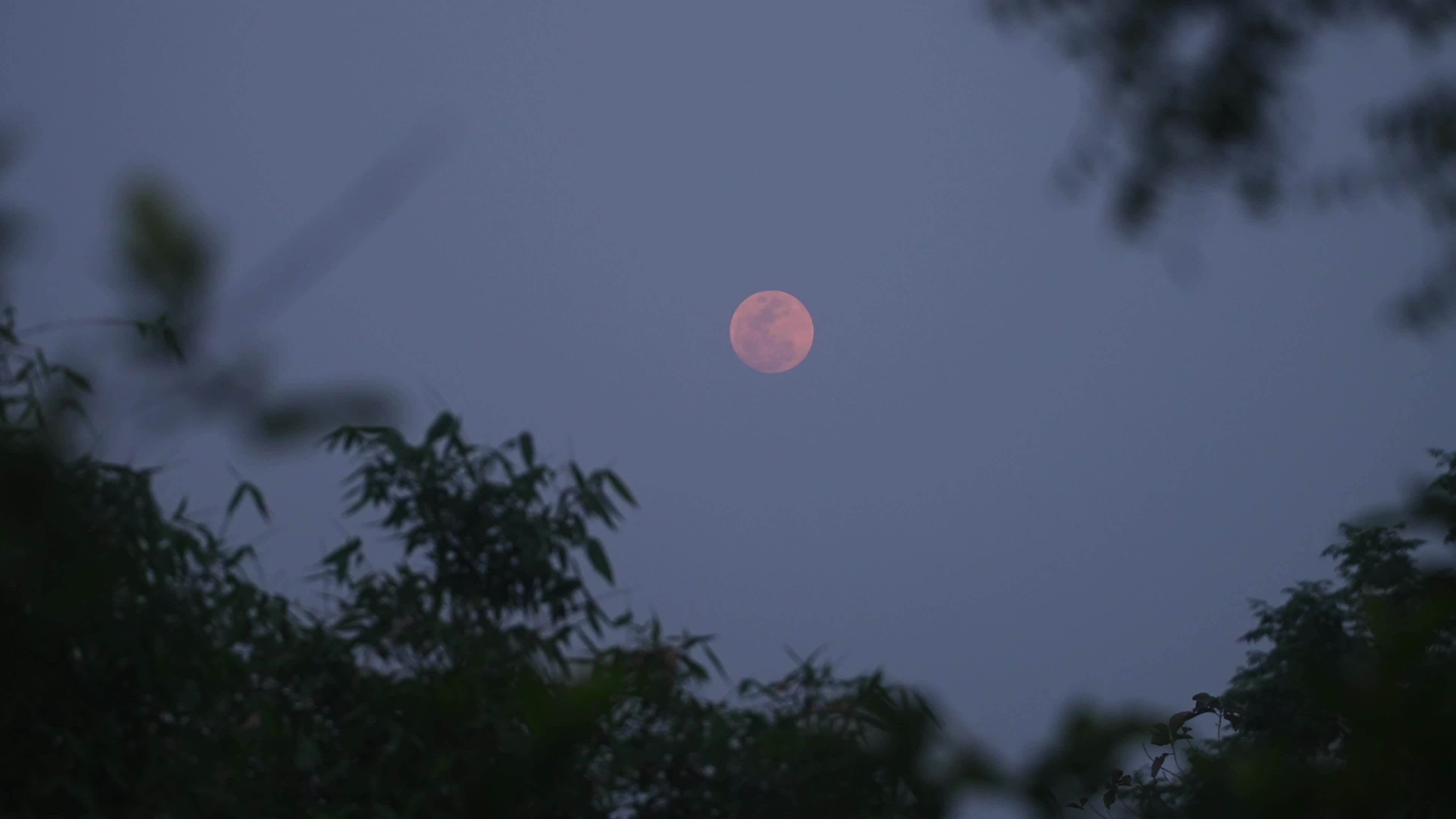 April Pink Moon 2026