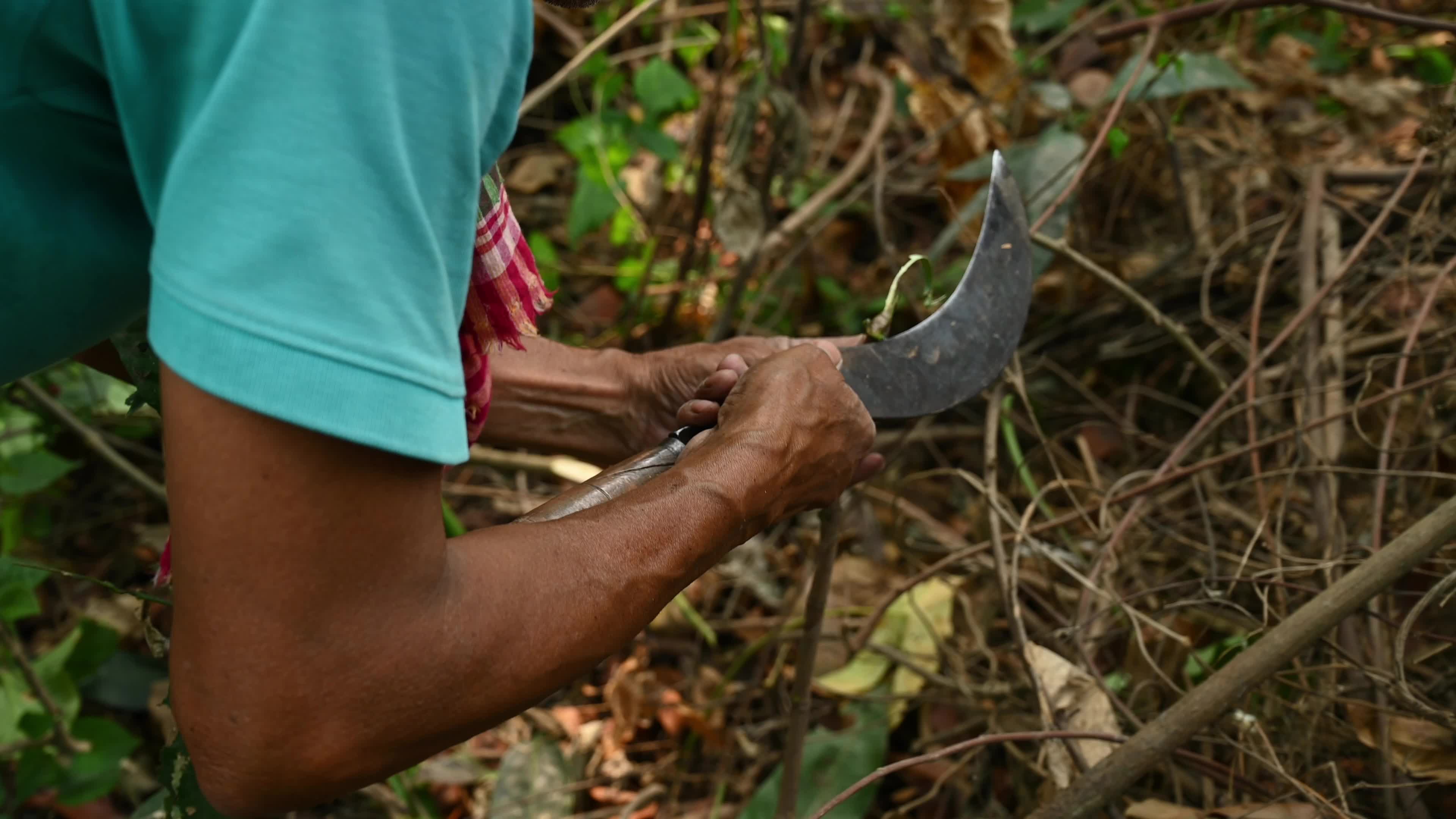 With LPG in short supply, people switch to firewood