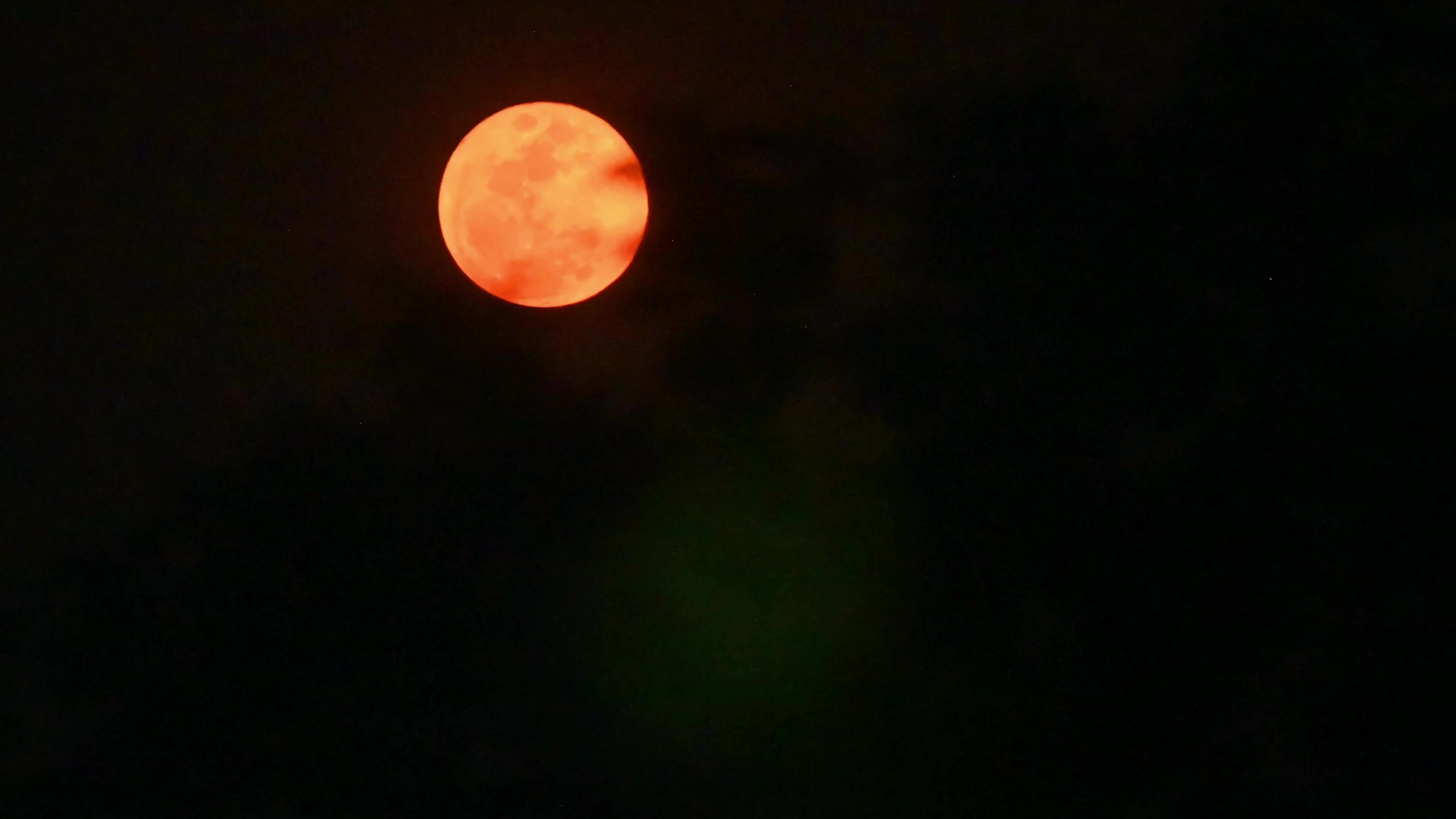 Pink Moon April - 2026