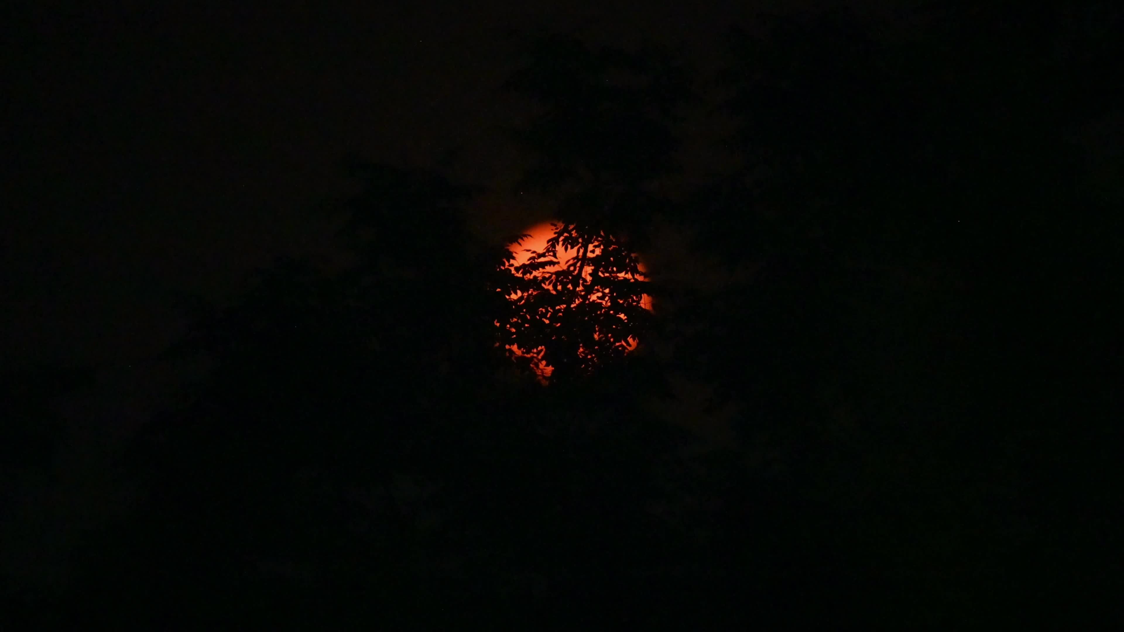 Pink Moon April - 2026