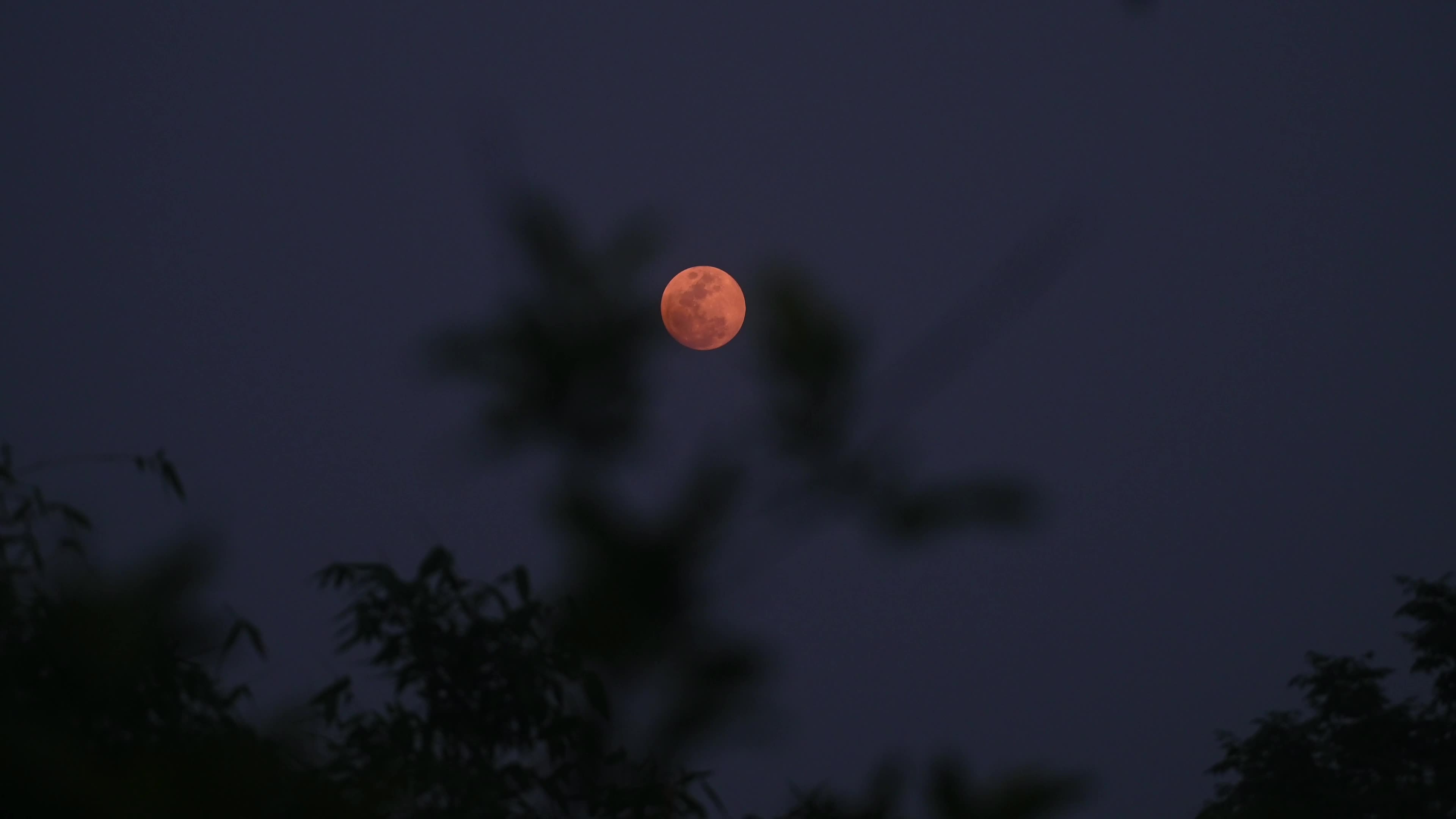 April Pink Moon 2026