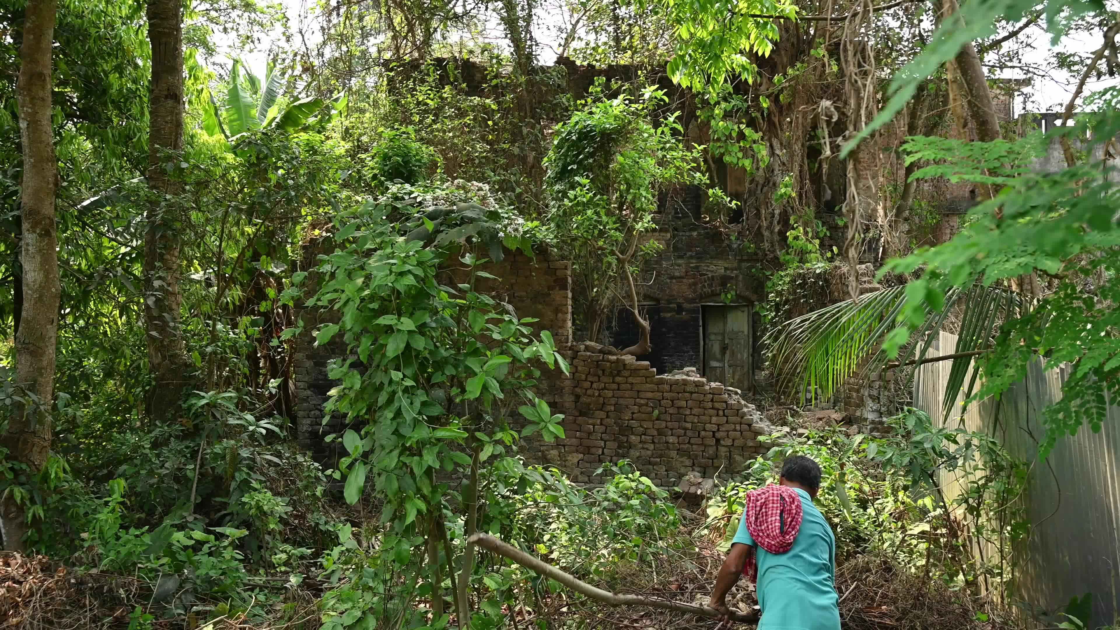 With LPG in short supply, people switch to firewood