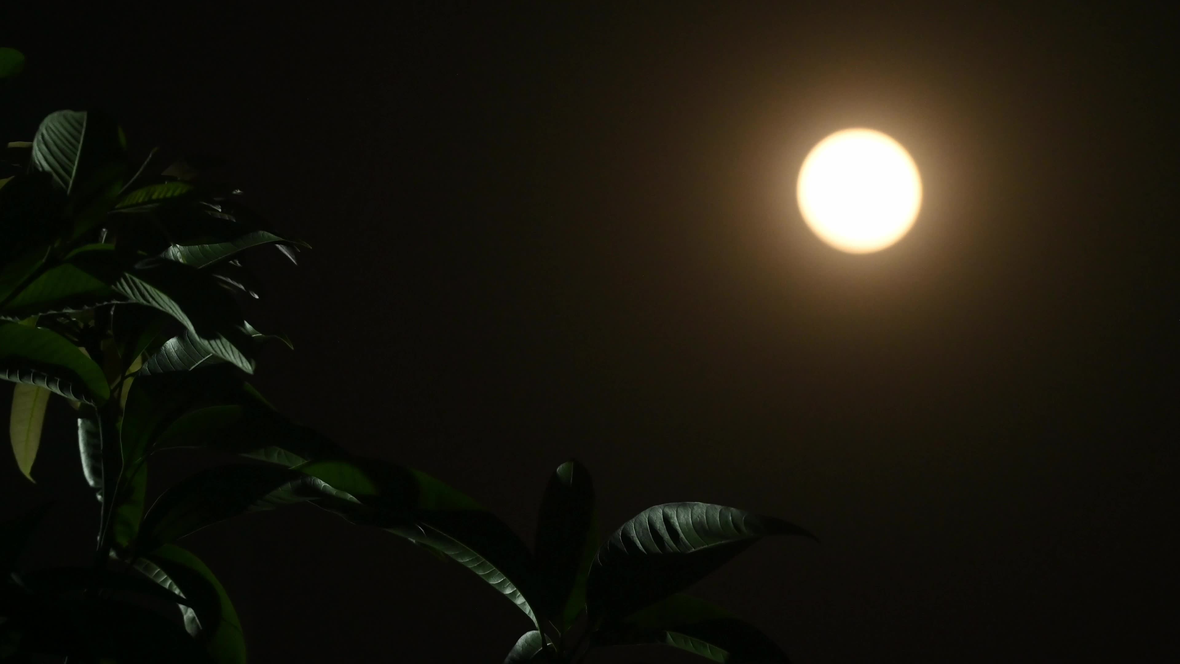 April Pink Moon 2026