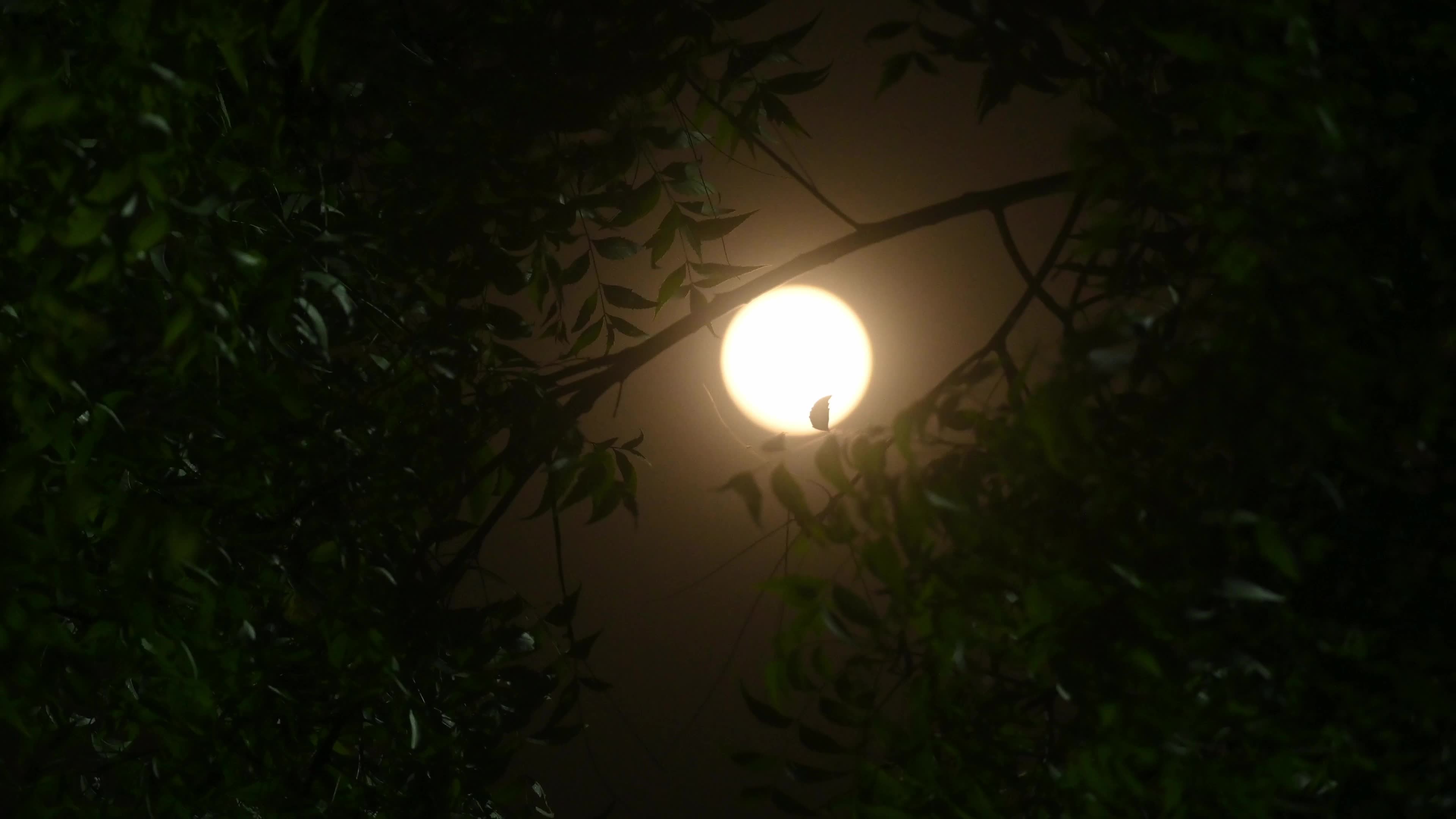 April Pink Moon 2026