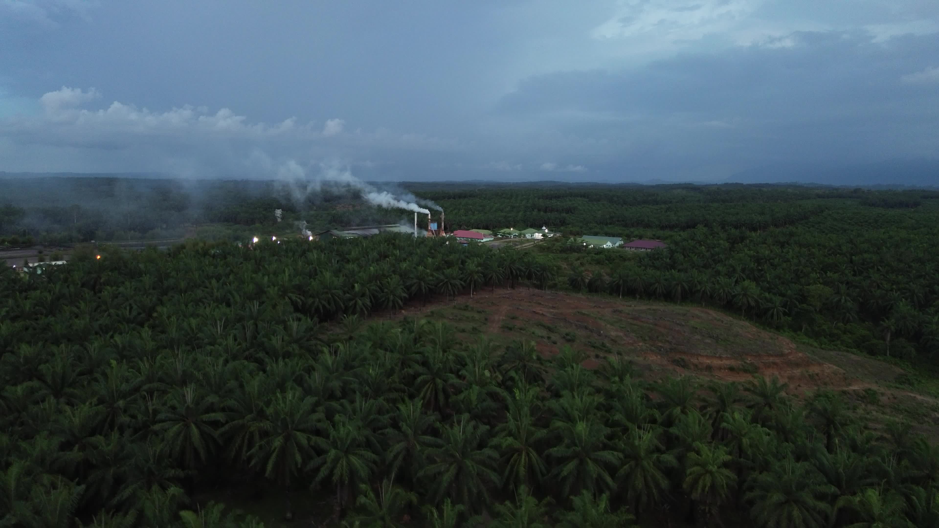 Aerial View of Palm Oil Plantation in North Aceh