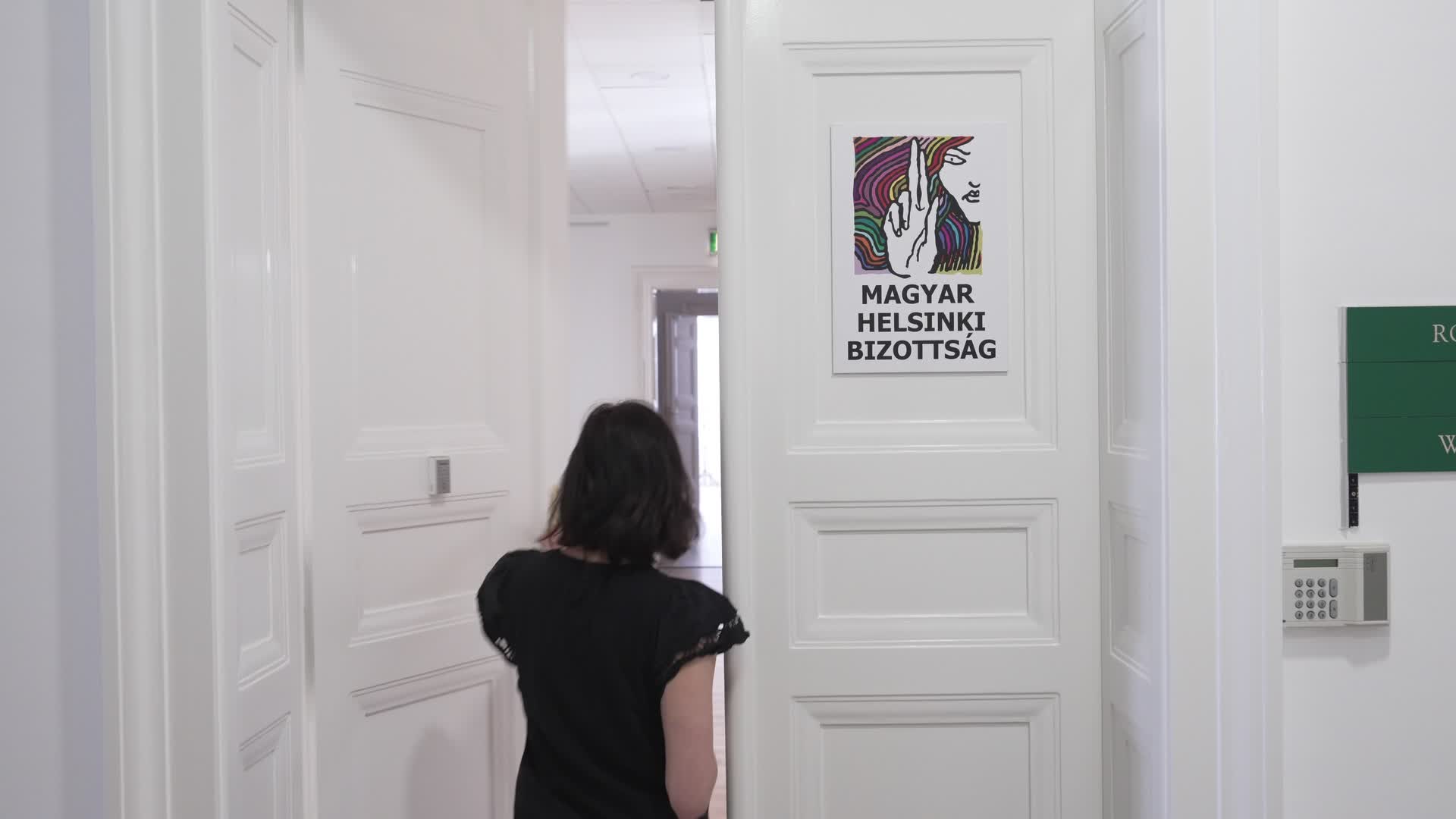 Hungarian Helsinki Committee co-chair Marta Pardavi interview on upcoming elections