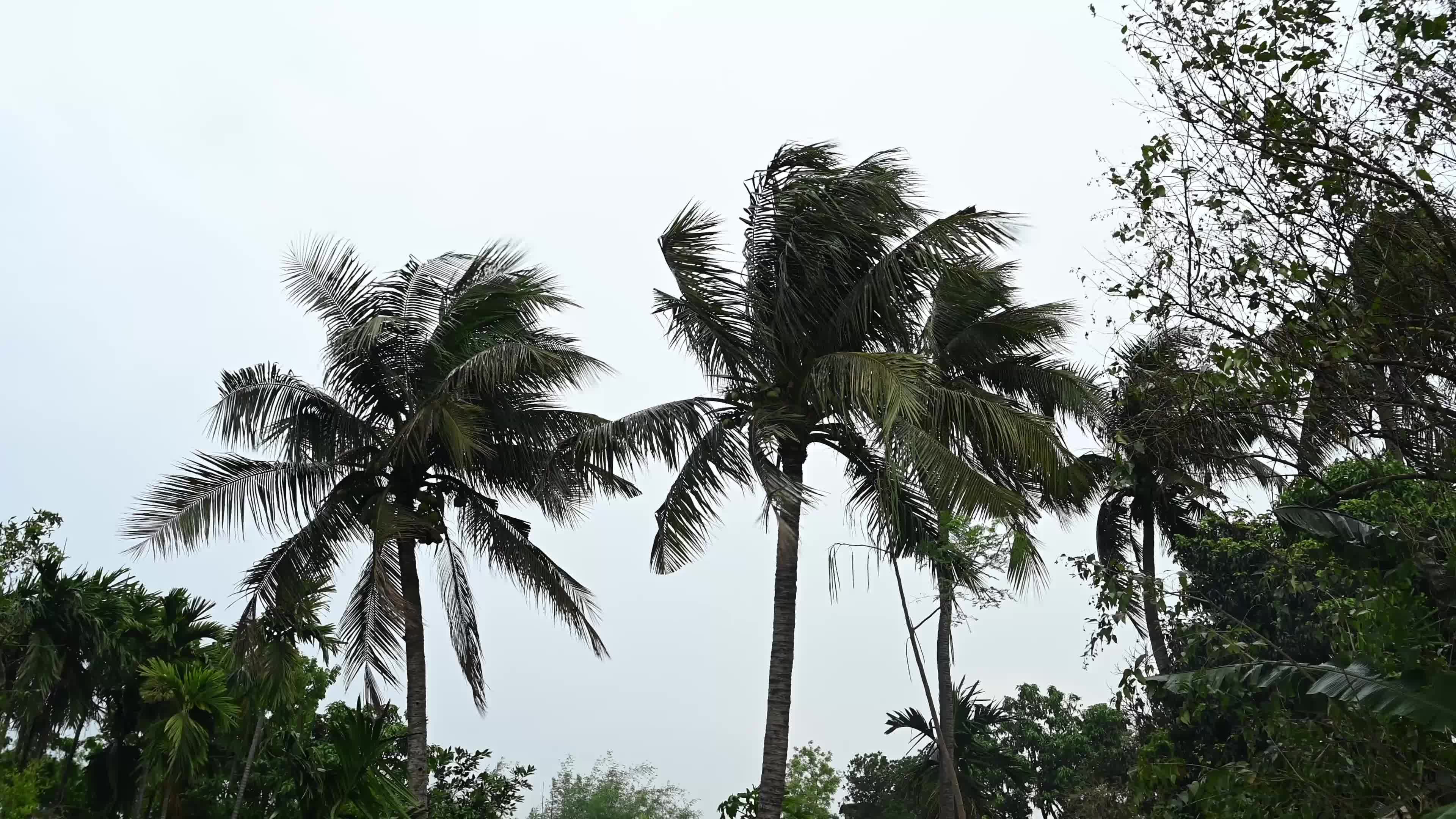 Weather India