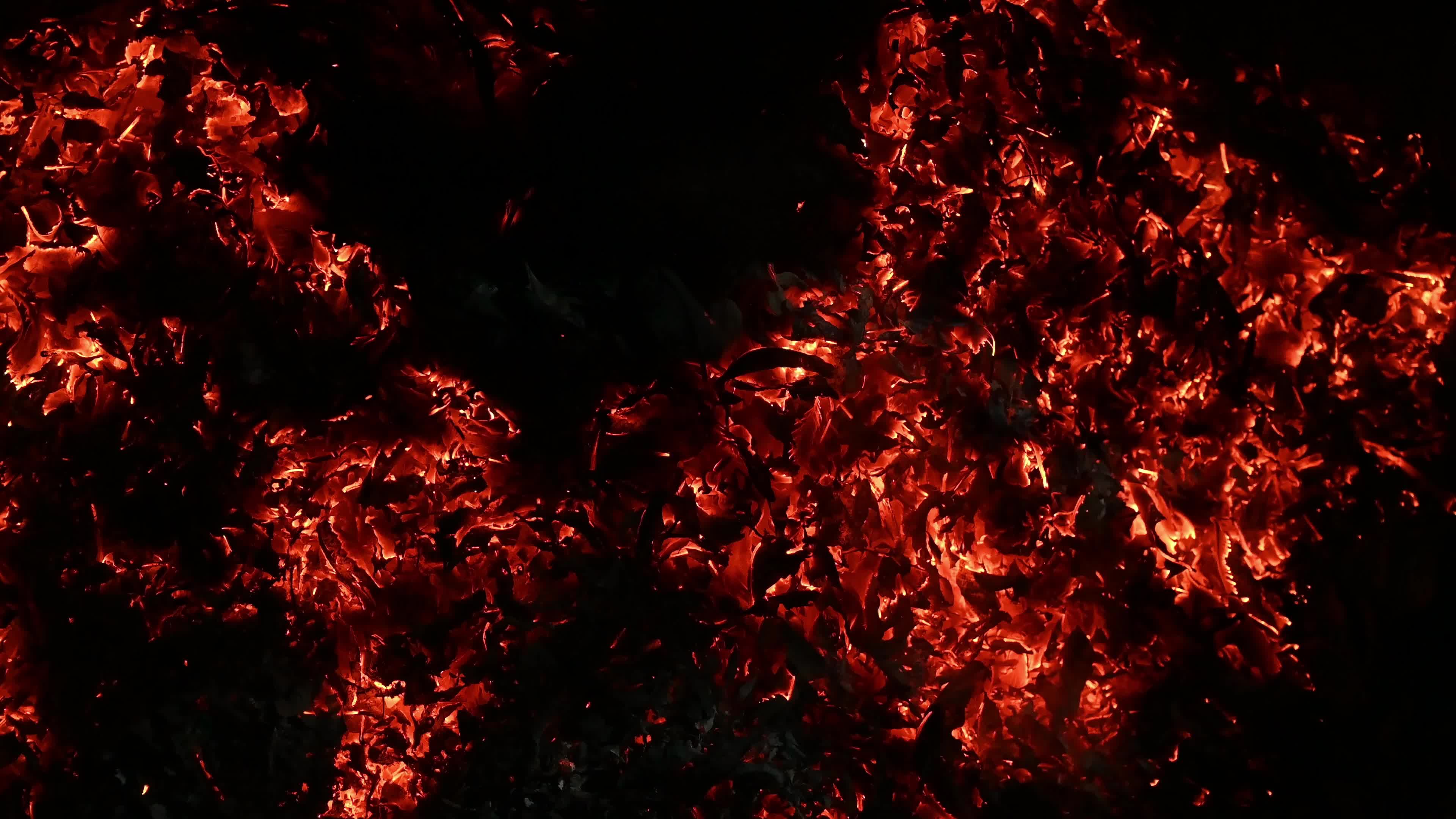Burning Winter Leaves