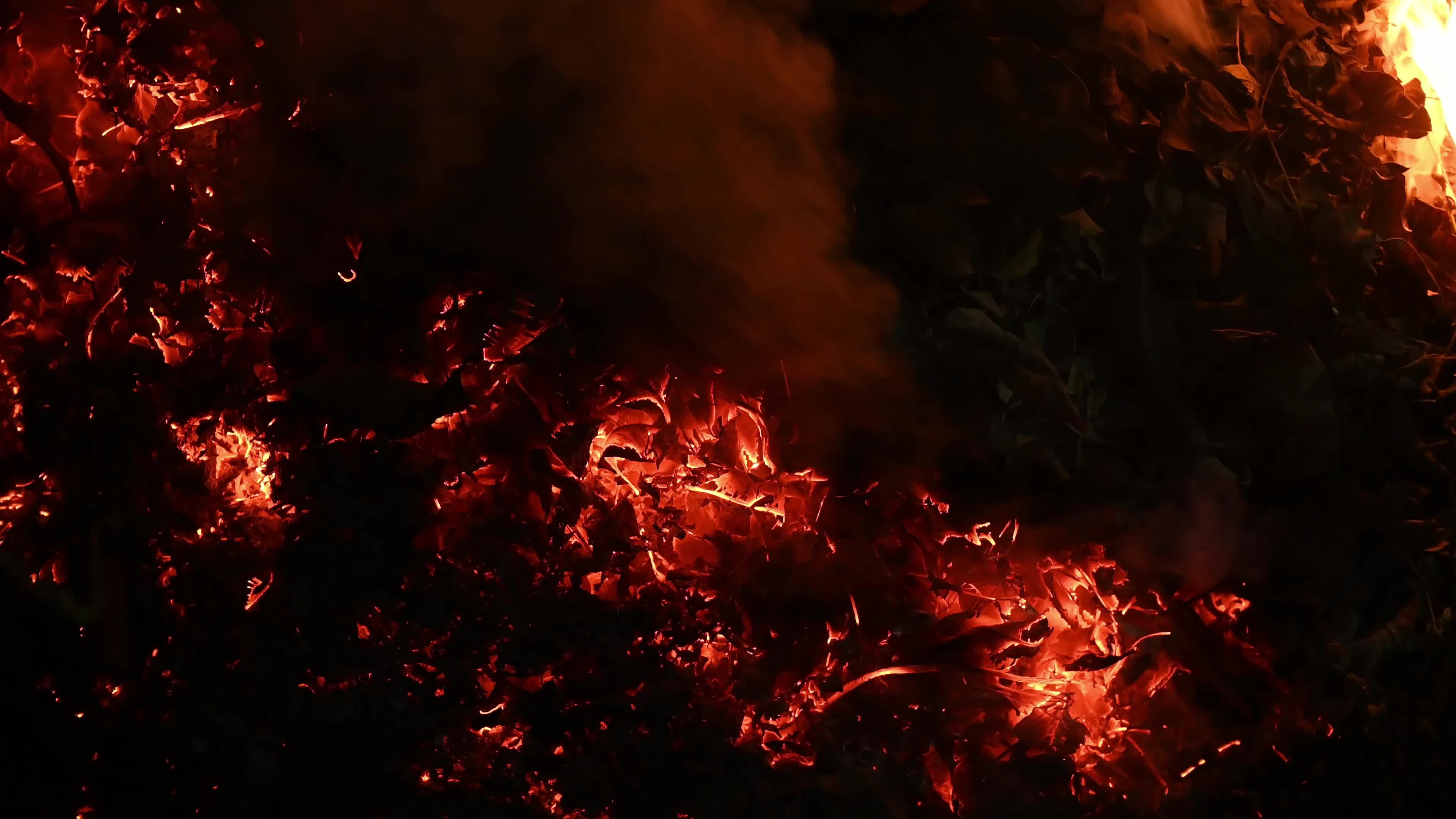 Burning Winter Leaves