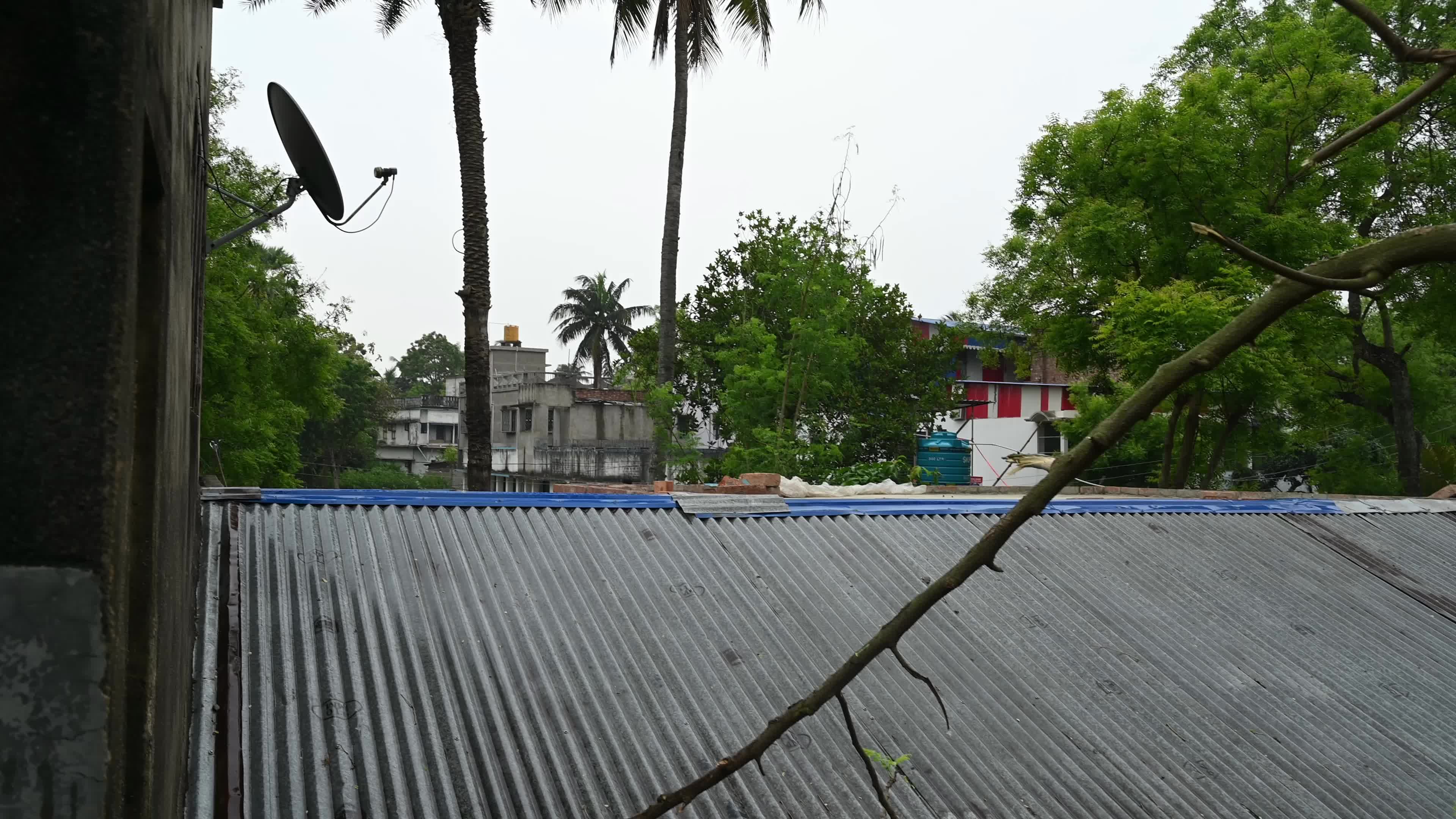 Weather India