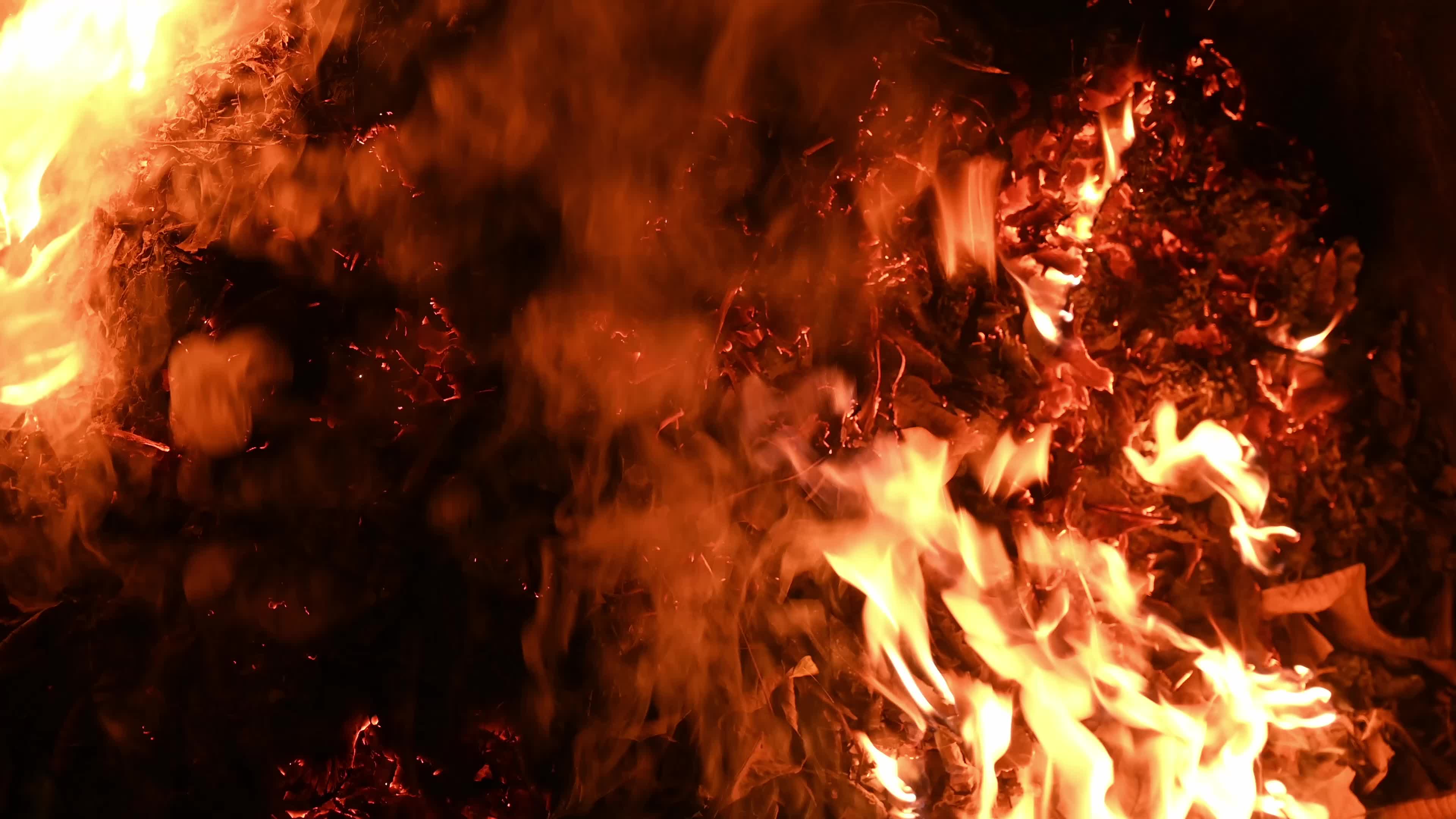 Burning Winter Leaves