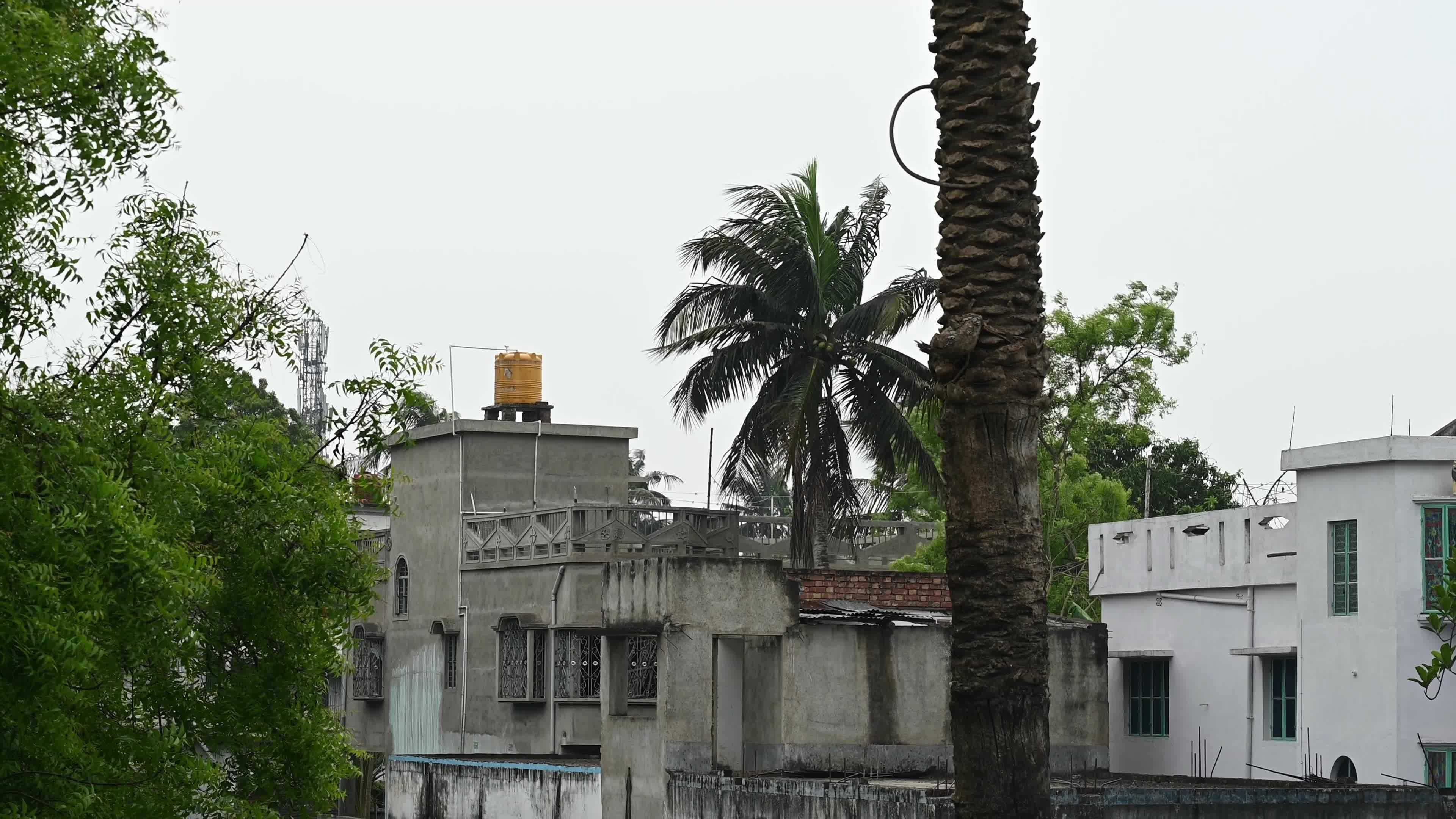 Weather India