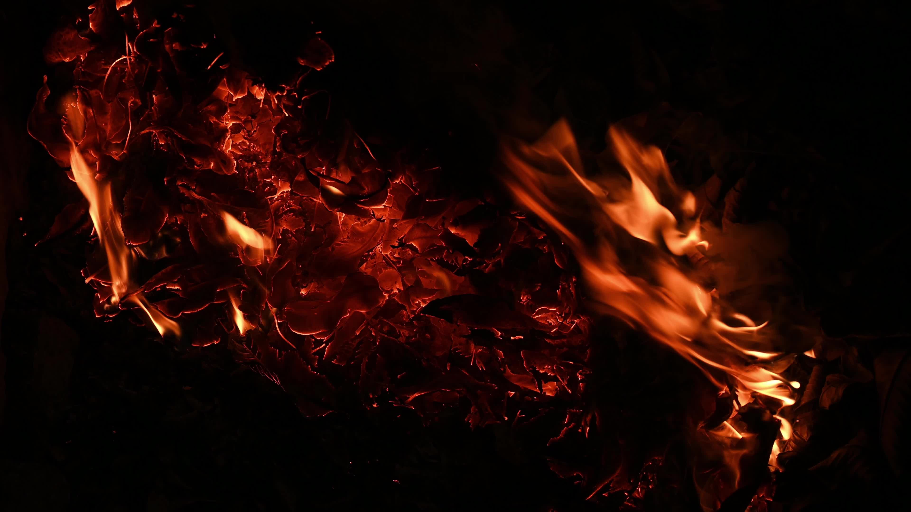 Burning Winter Leaves