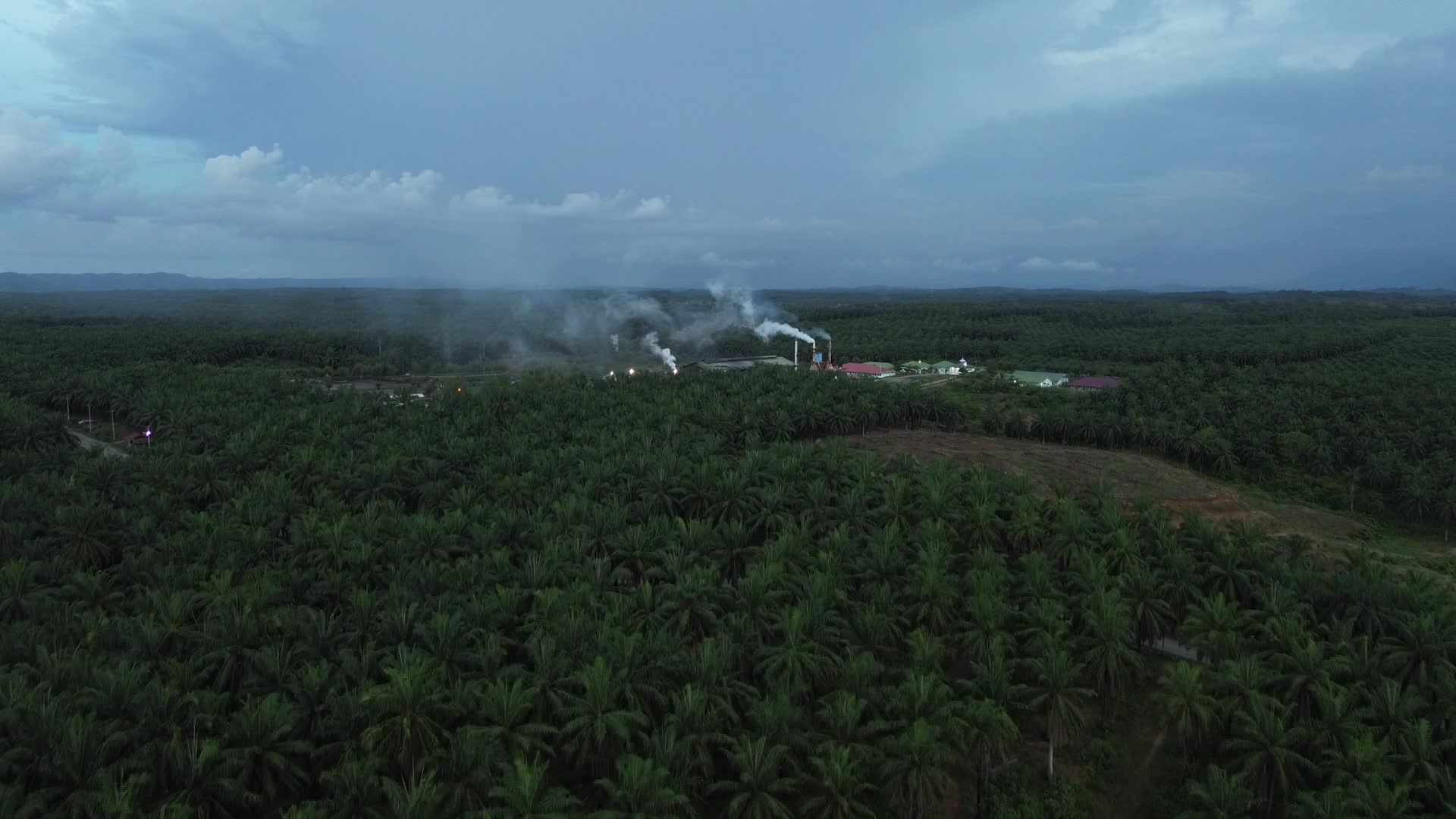 Vista Aerea di una Piantagione di Palma da Olio nel Nord Aceh - 09/04/2026