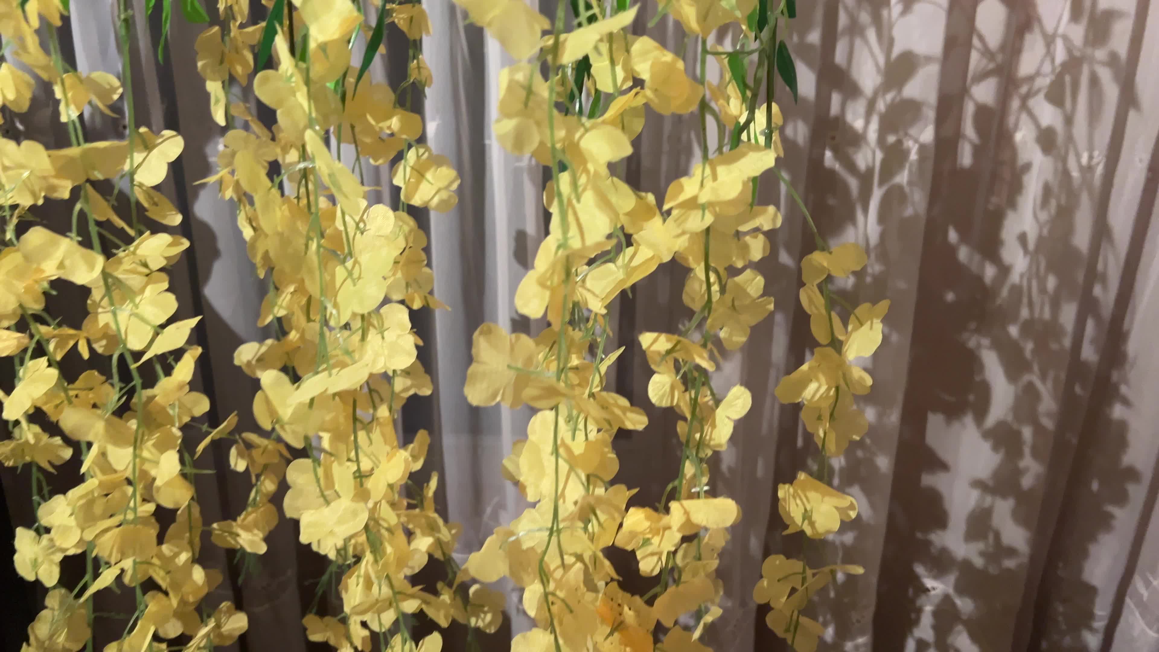 Vishu Festival in Brampton, Canada