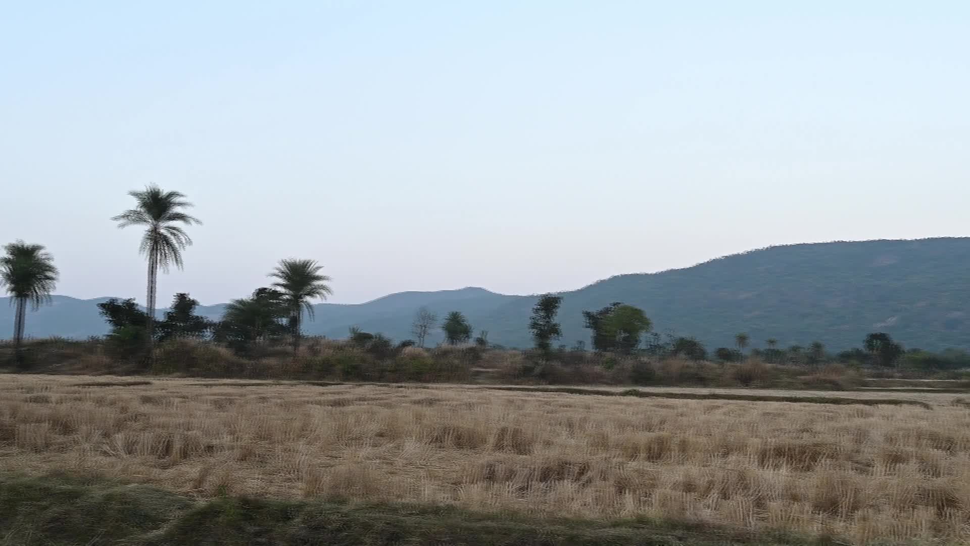 Altopiano di Purulia - Economia - Agricoltura - Trasporti - 01/11/2026