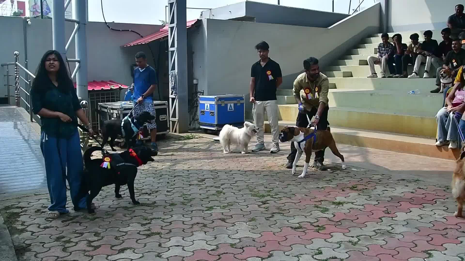 Dog & Cat show In India