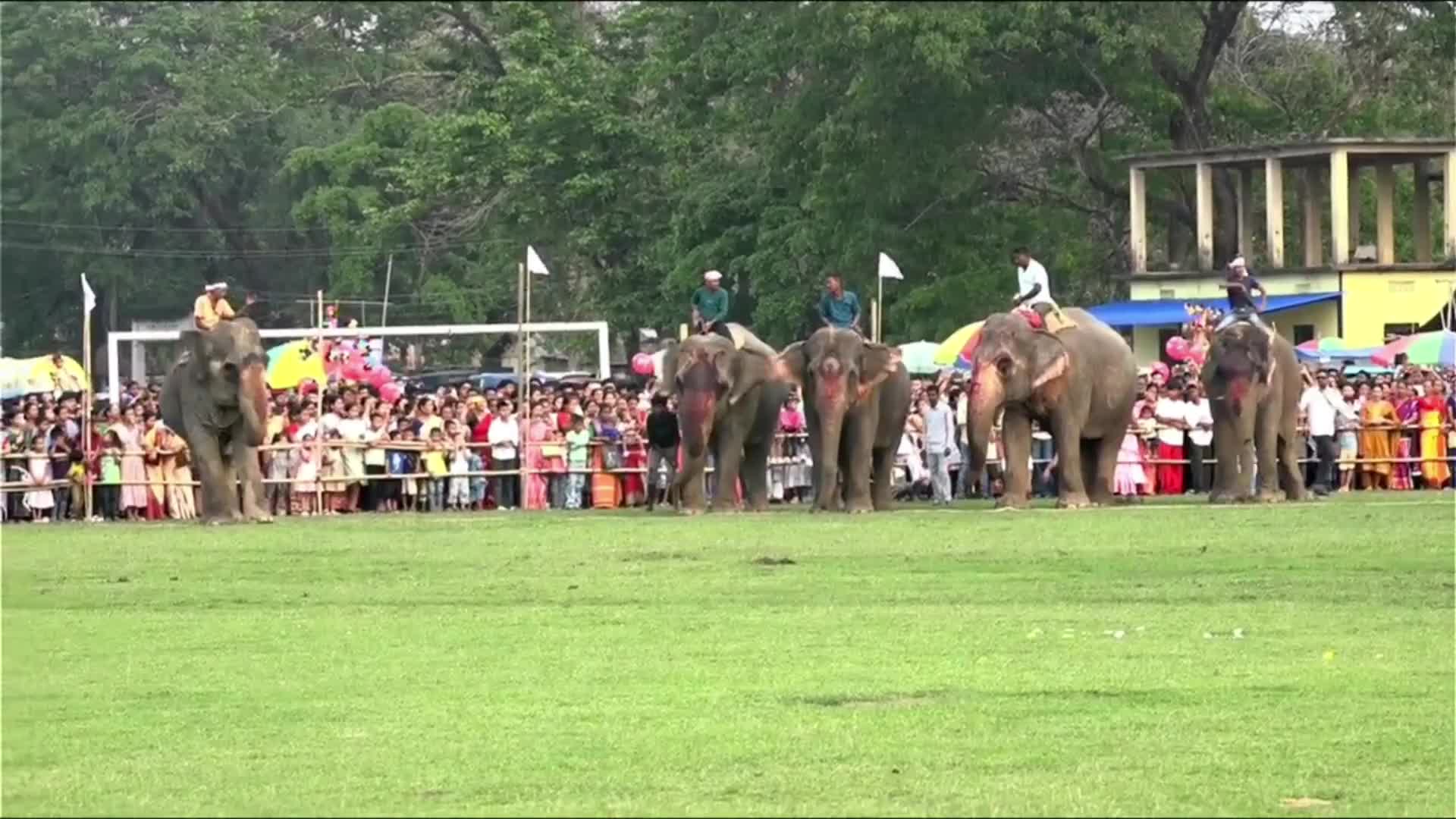 Suwori festival in India