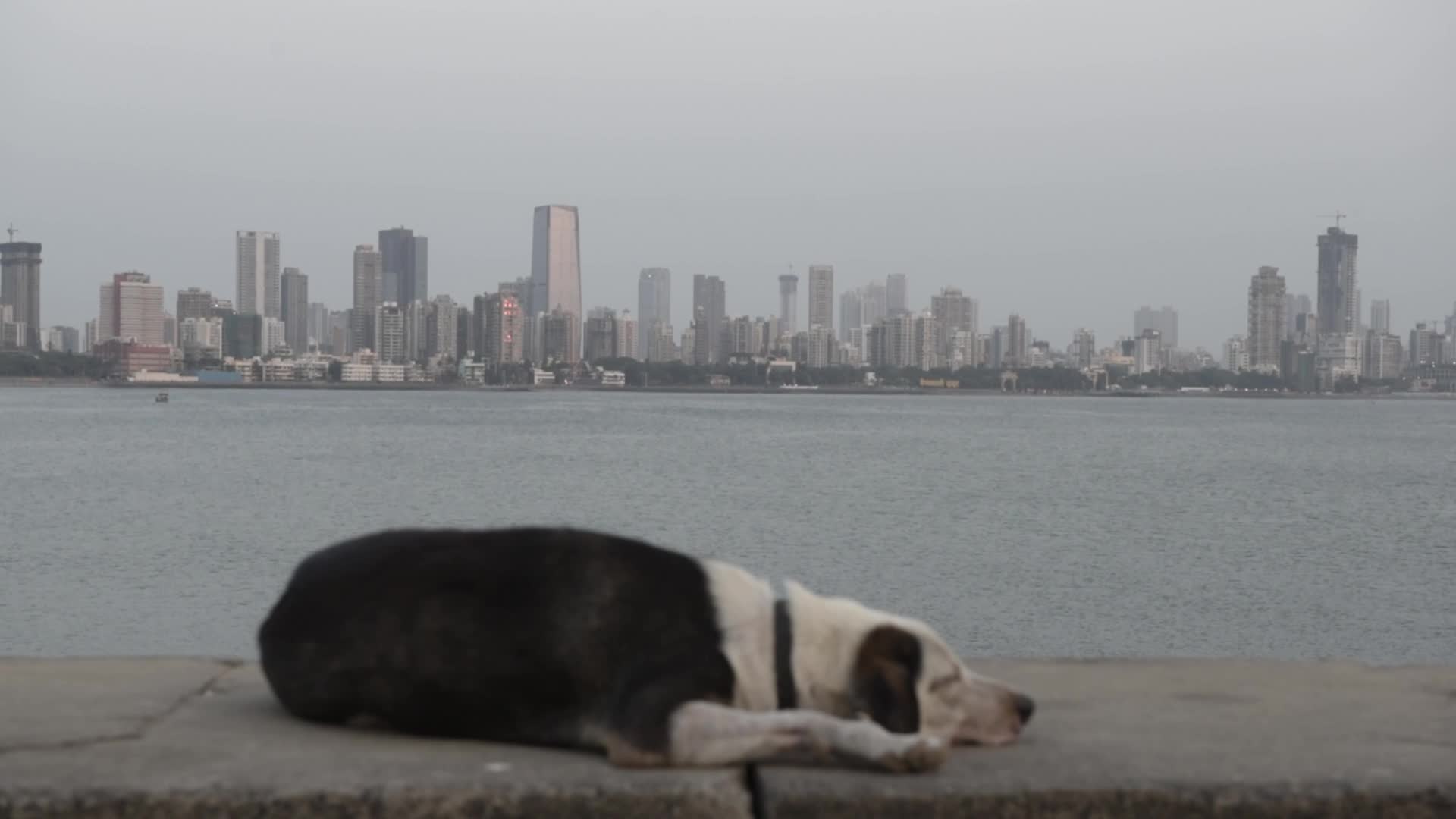 Generic Skyline View In Mumbai
