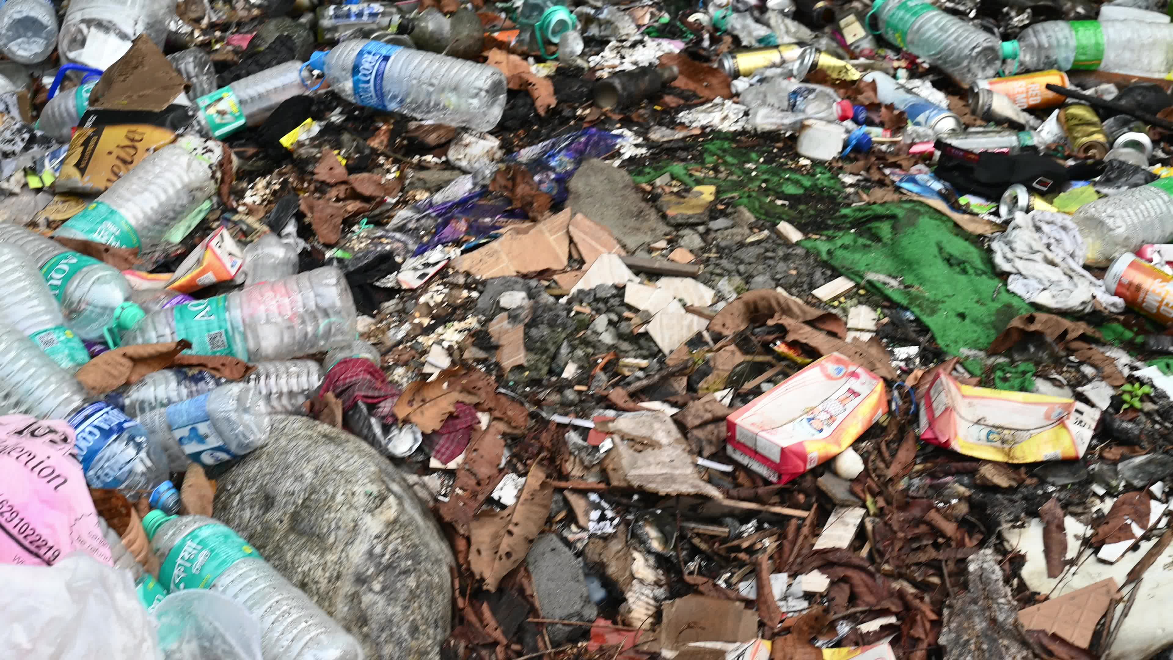 Plastic pollution in the Himalaya