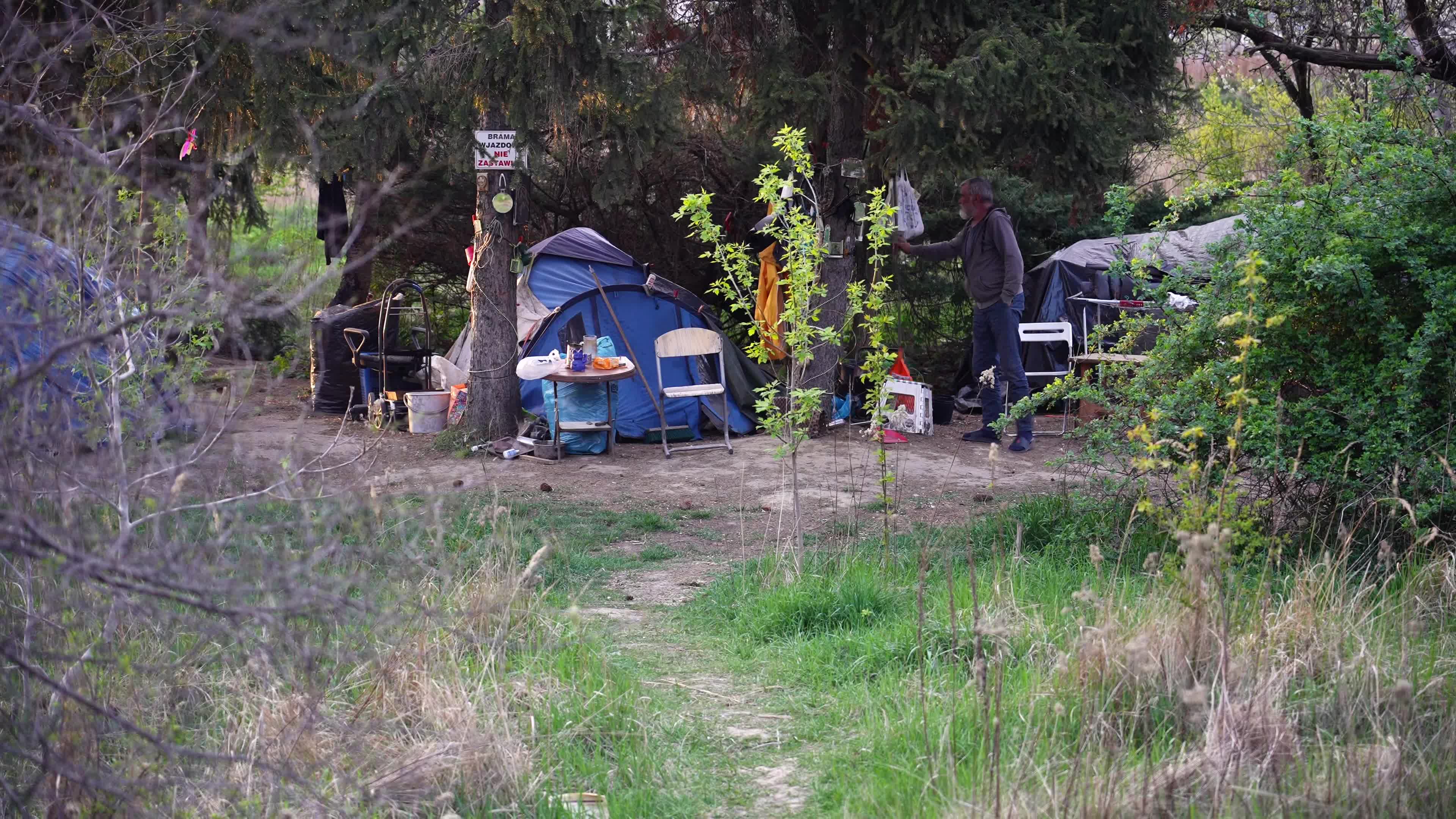 Poland's capital battles with growing wild pigs problem