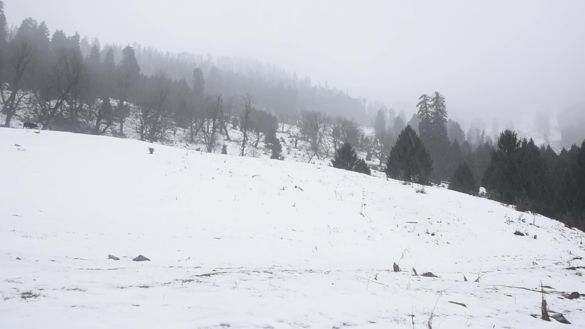Landscapes Of Himachal Pradesh