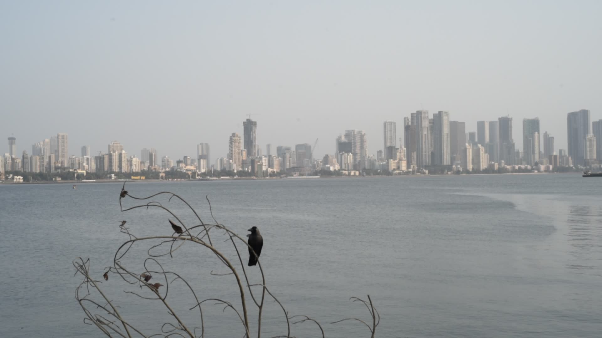 Generic Skyline View In Mumbai