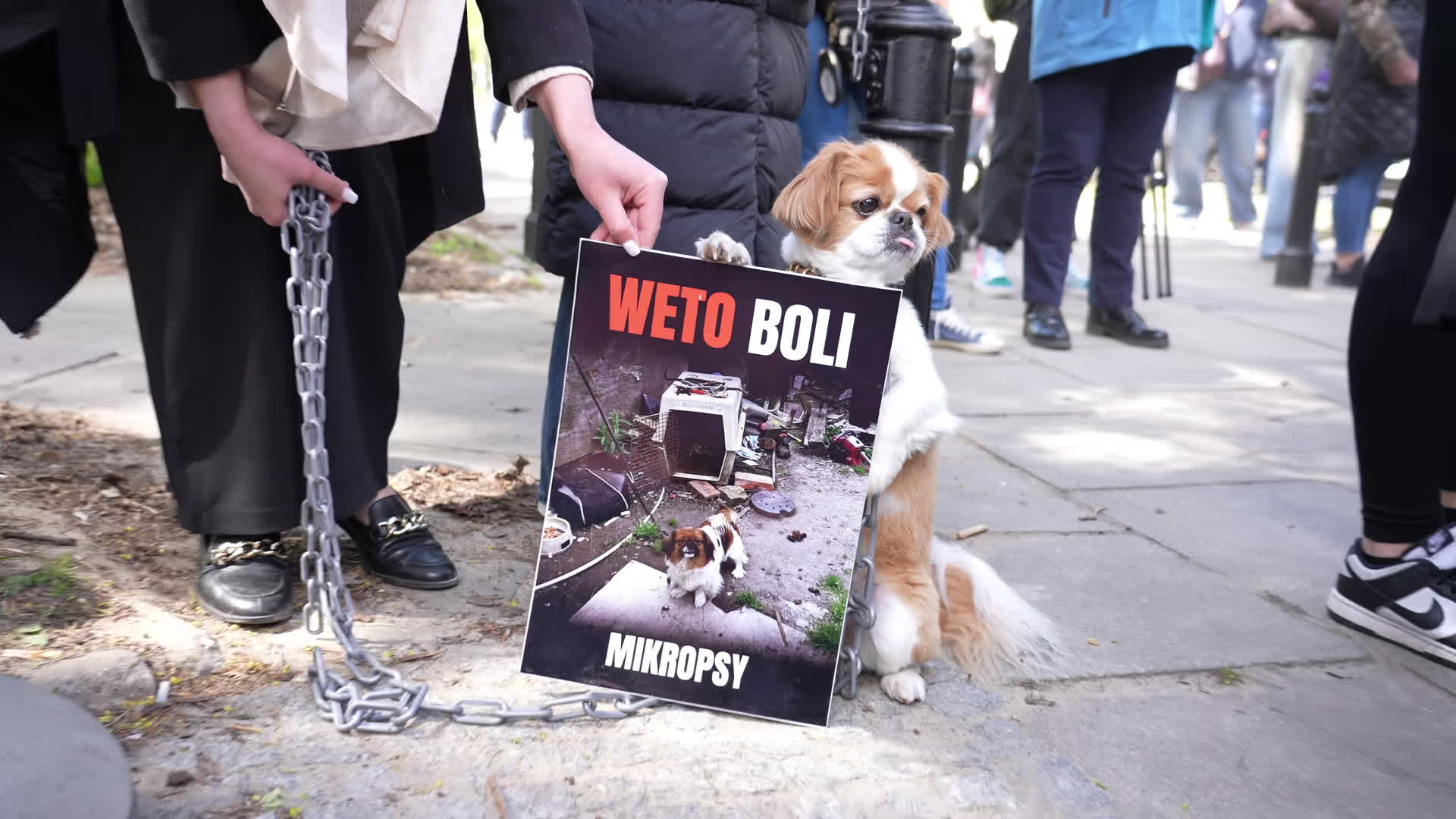 March in Warsaw against presidential veto of dog-chaining ban