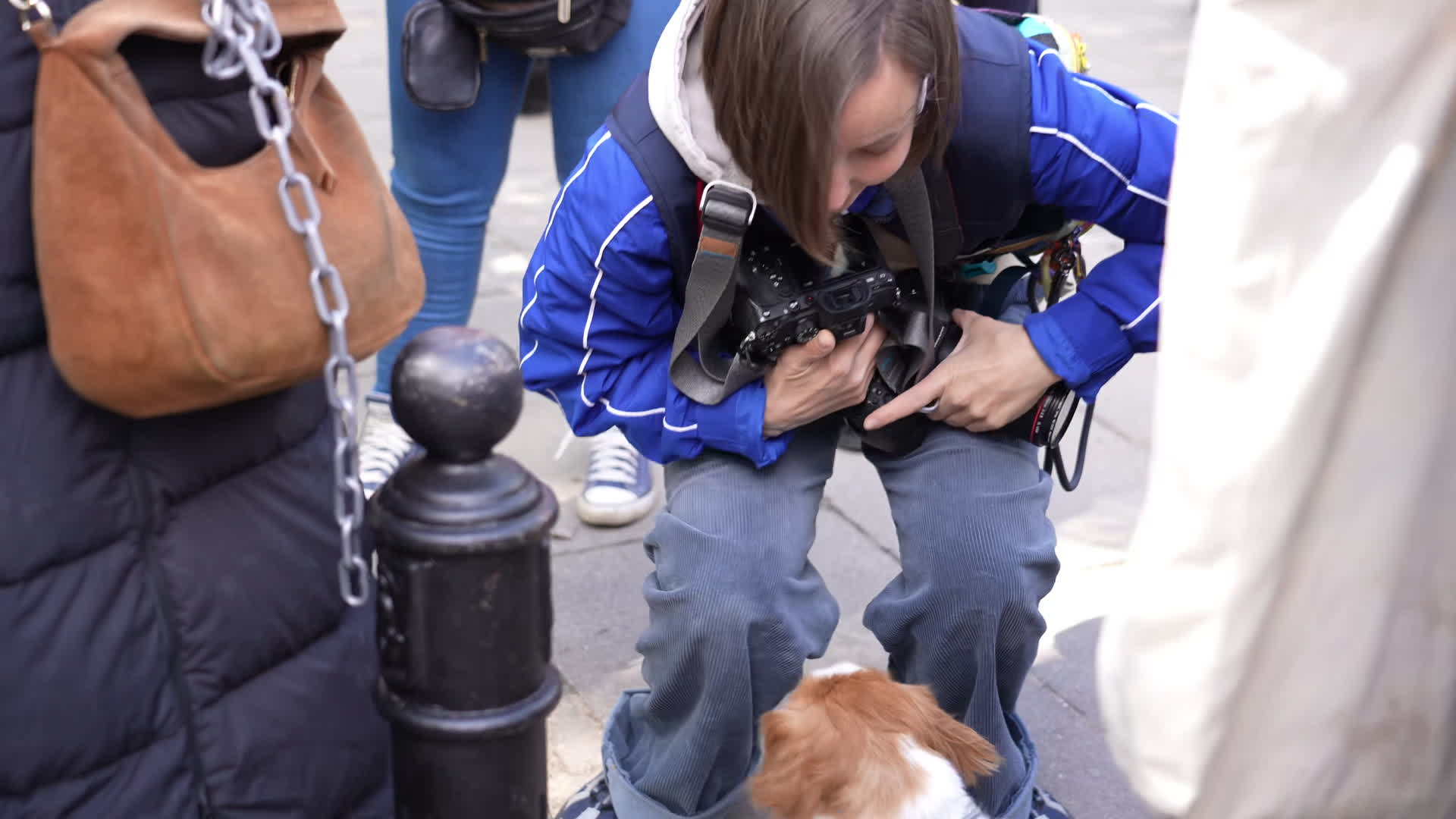 March in Warsaw against presidential veto of dog-chaining ban