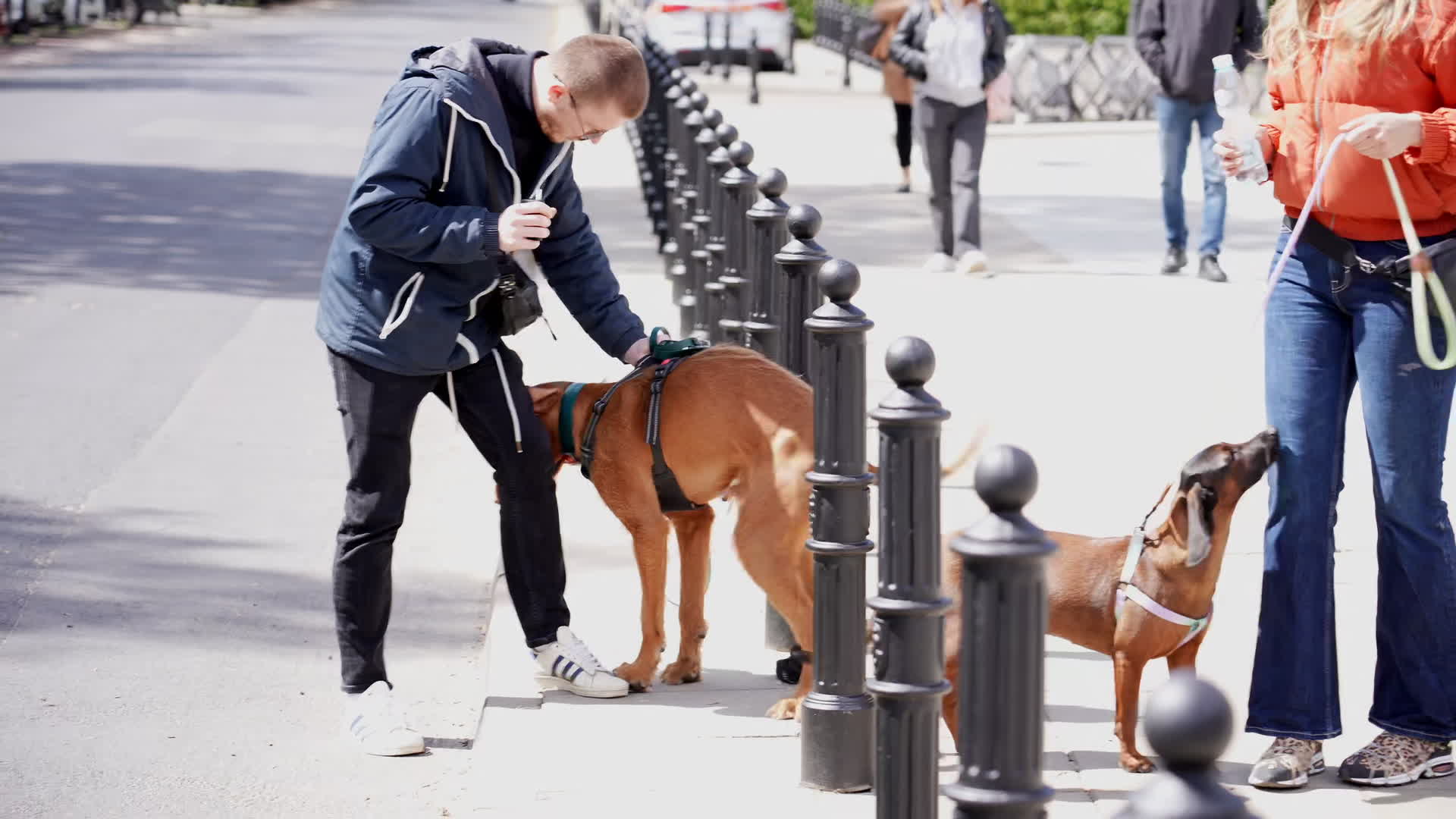 March in Warsaw against presidential veto of dog-chaining ban