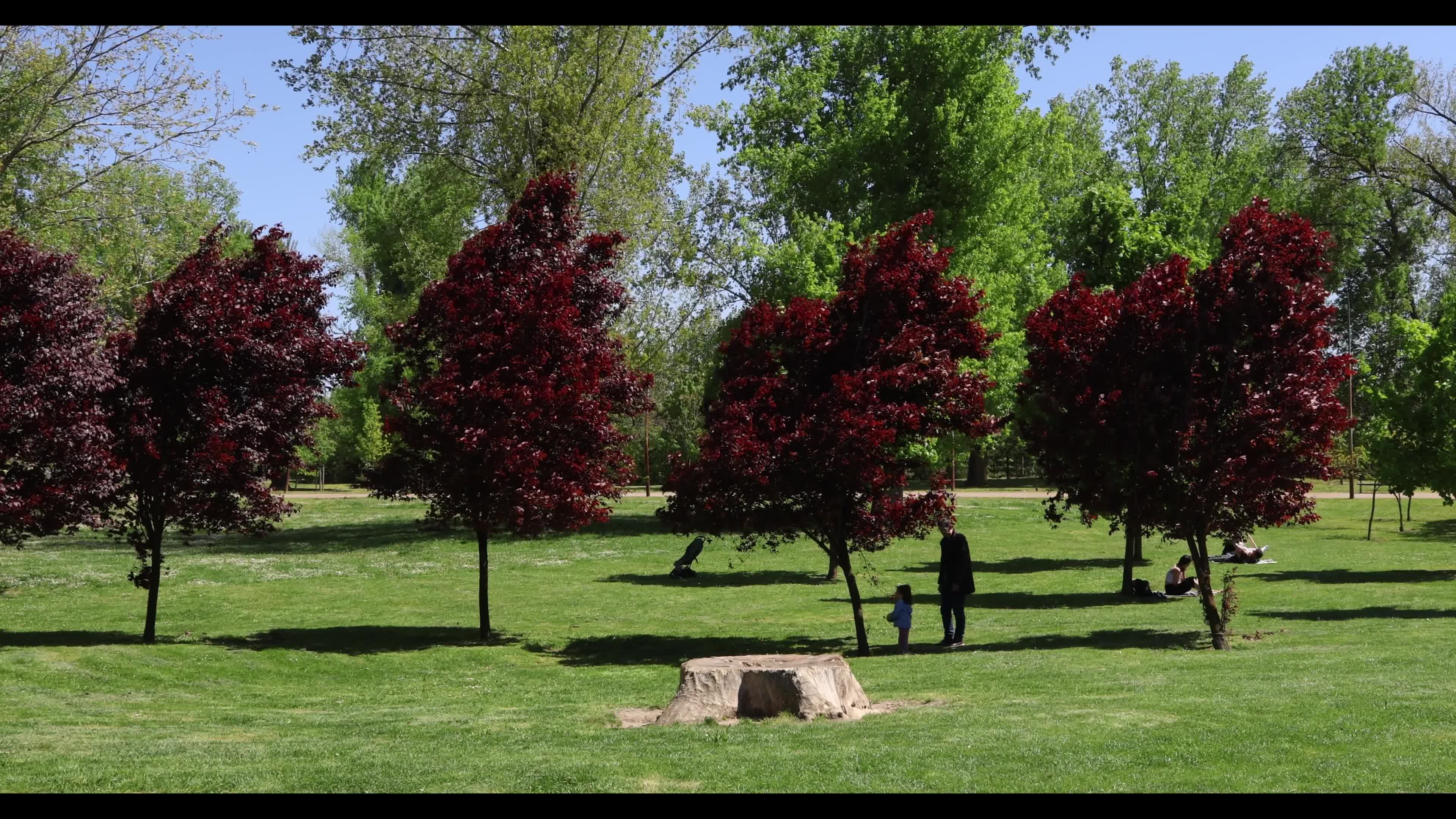 Liman Park